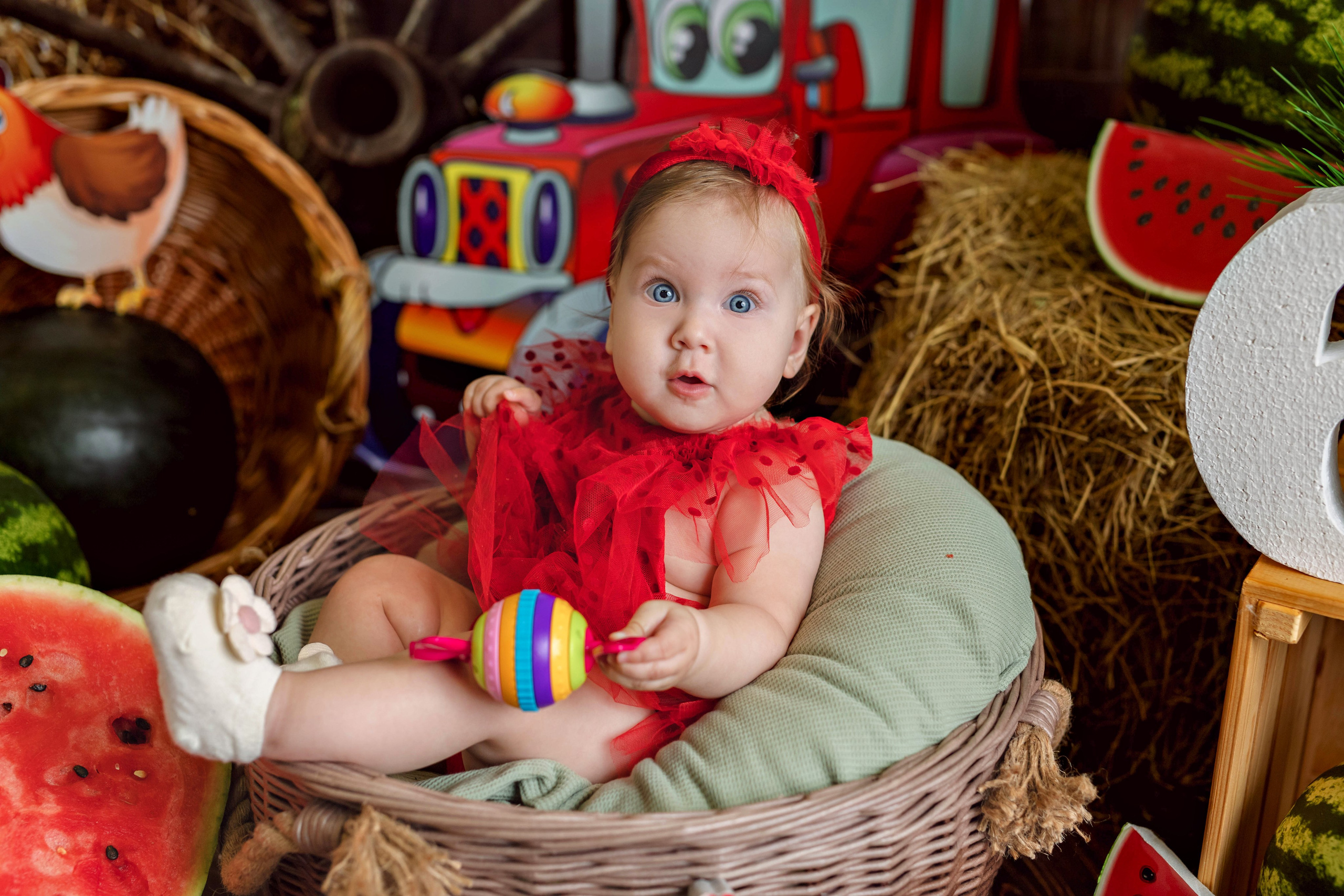 Арбузы. Фотограф Болотова Иветта