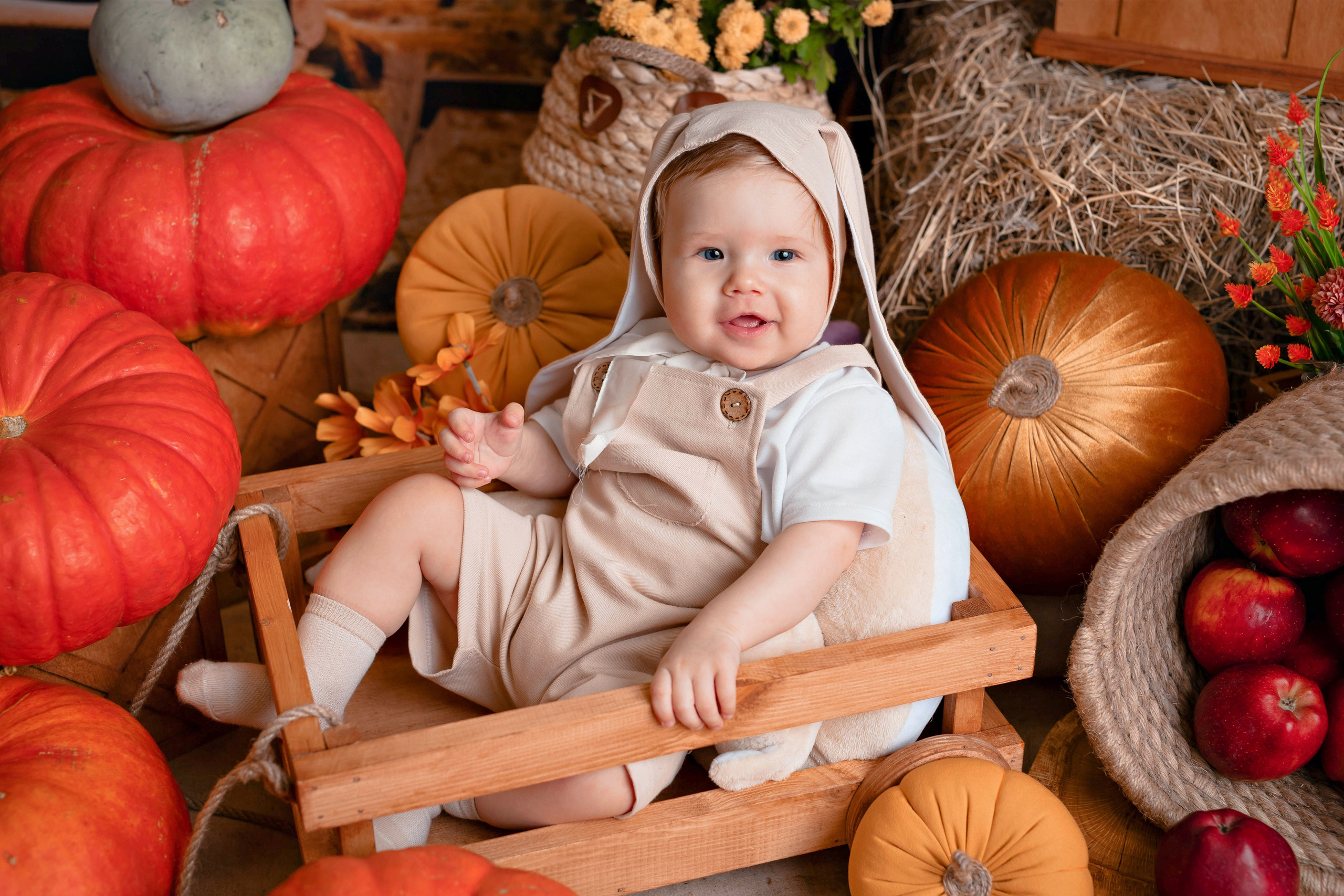 Тыквы. Фотограф Болотова Иветта