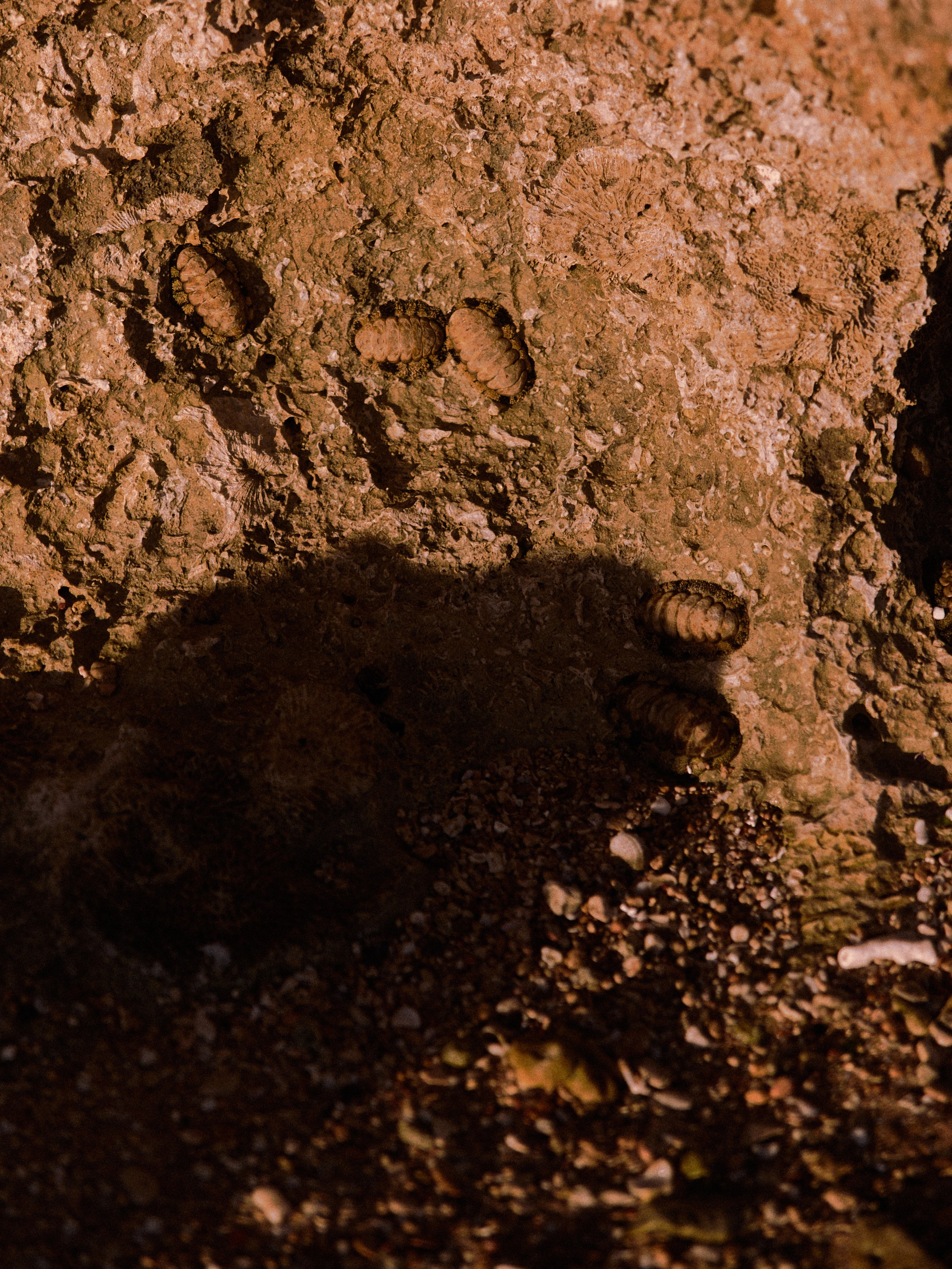 Природа. Jorgis Talè — photographer, kind person, teacher of arts and other mag