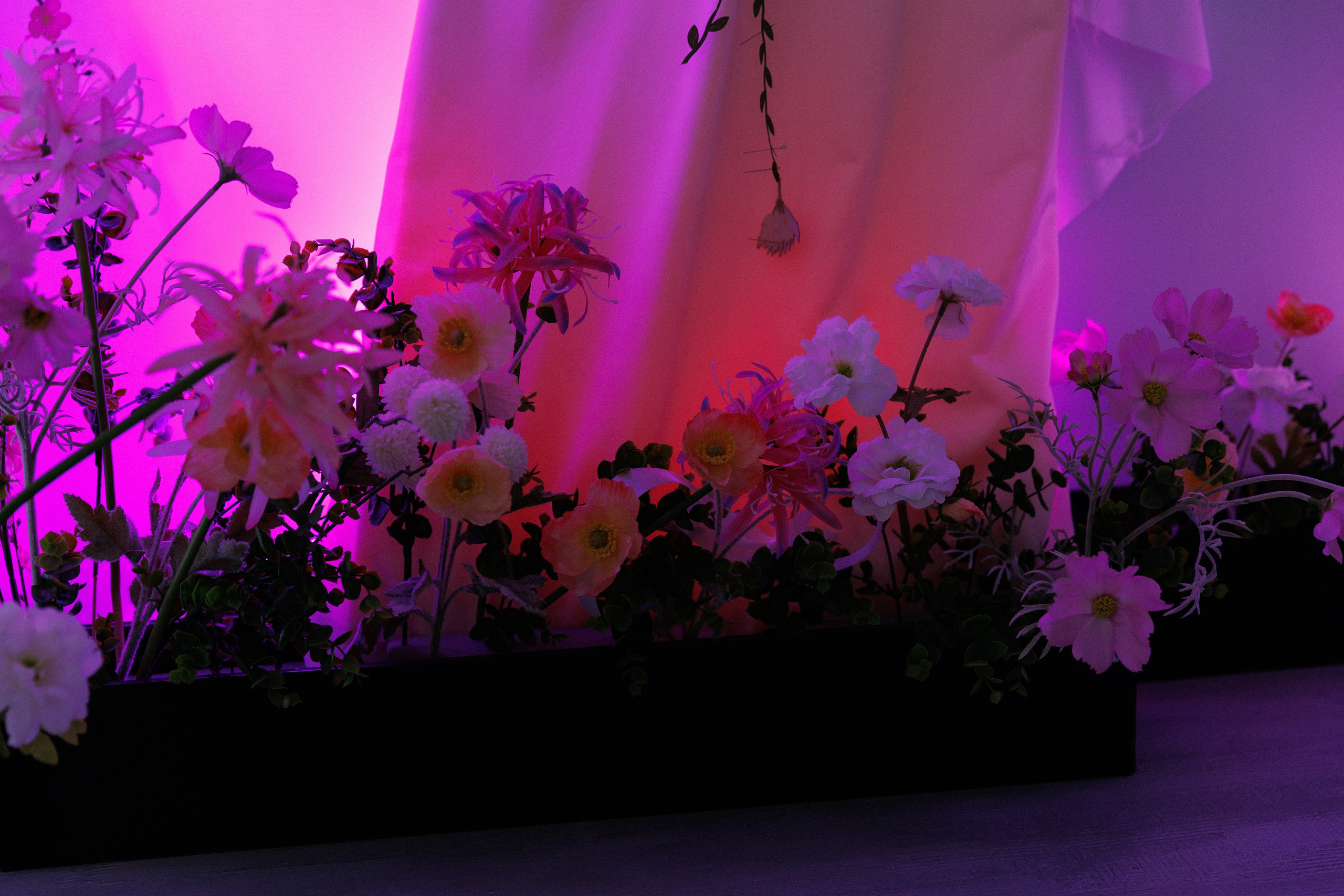 Дмитрий и Ирина. Свадебный и репортажный фотограф в Санкт-Петербурге Николай Голованов