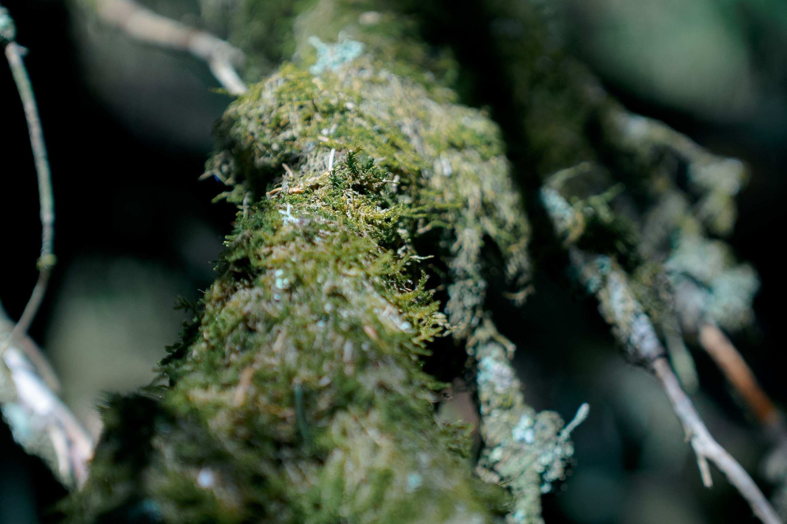 travel photograph