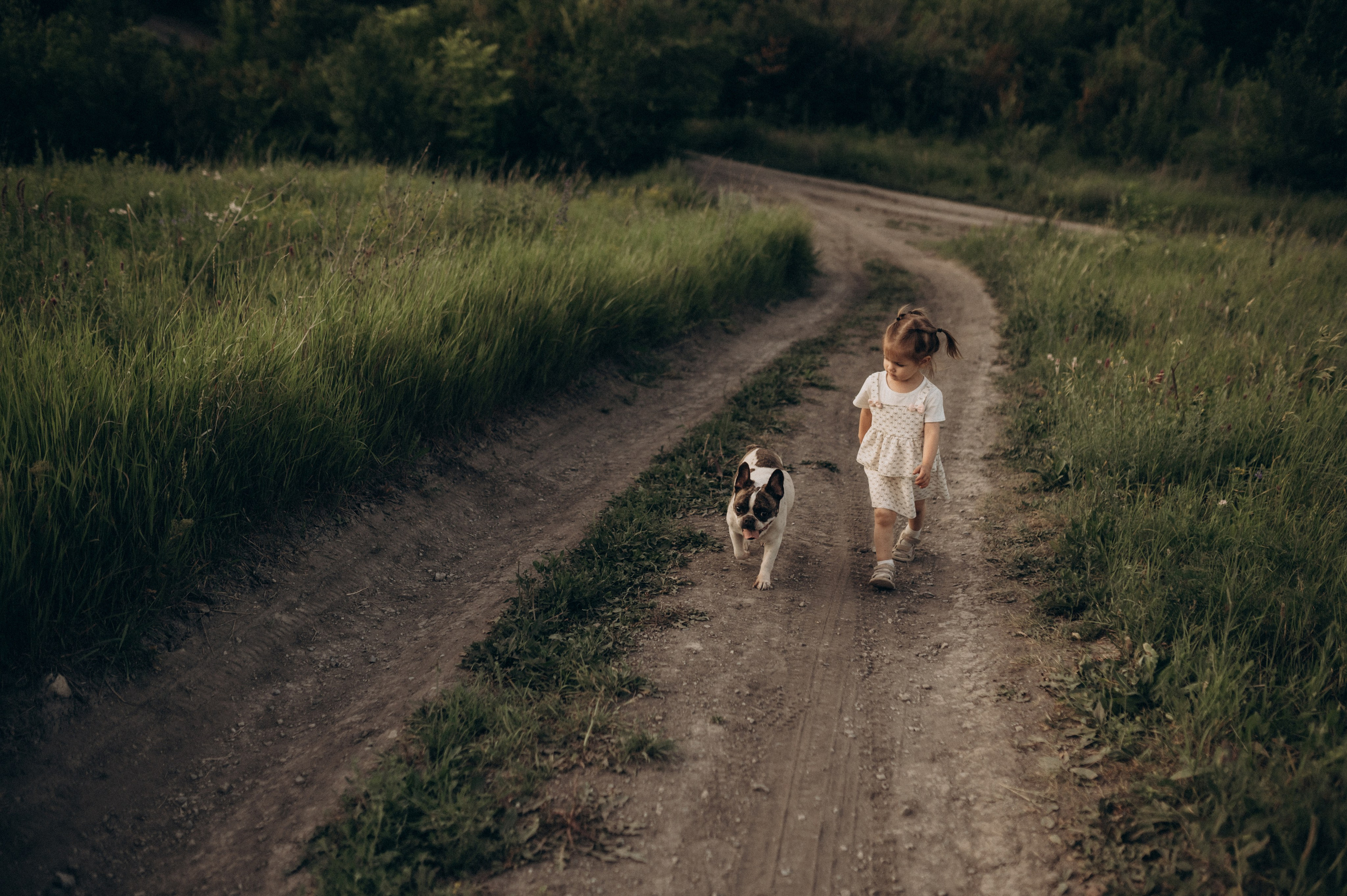 Летний вечер с самыми любимыми. Фотограф Мария Стрелкова