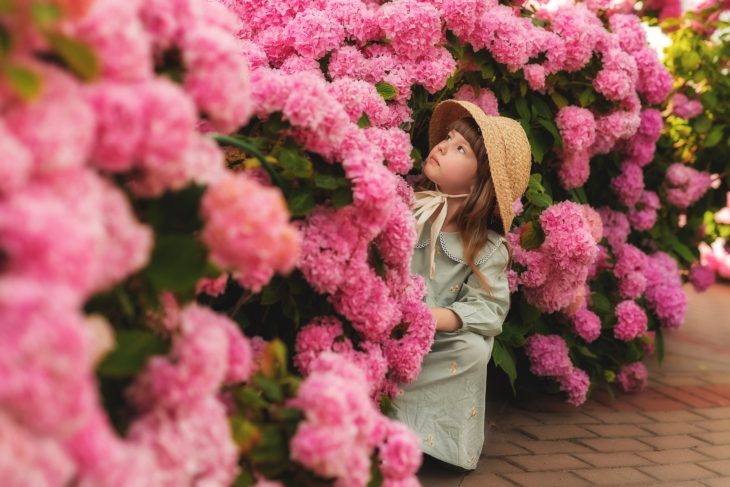 Портретная фотосессия в гортензиях. Семейный, детский фотограф в Воронеже Анна Никитина