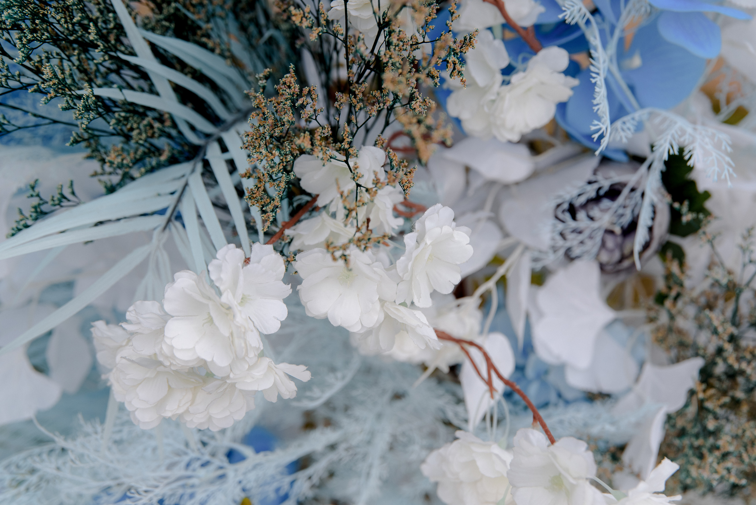 Асет & Камила. Фотограф Даурен Абилхаятов