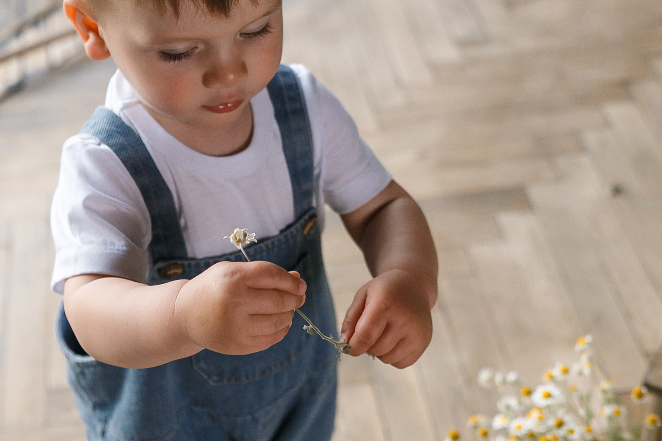 Тройняшки в ромашках. Событийный фотограф Максим Бескоровайновнов
