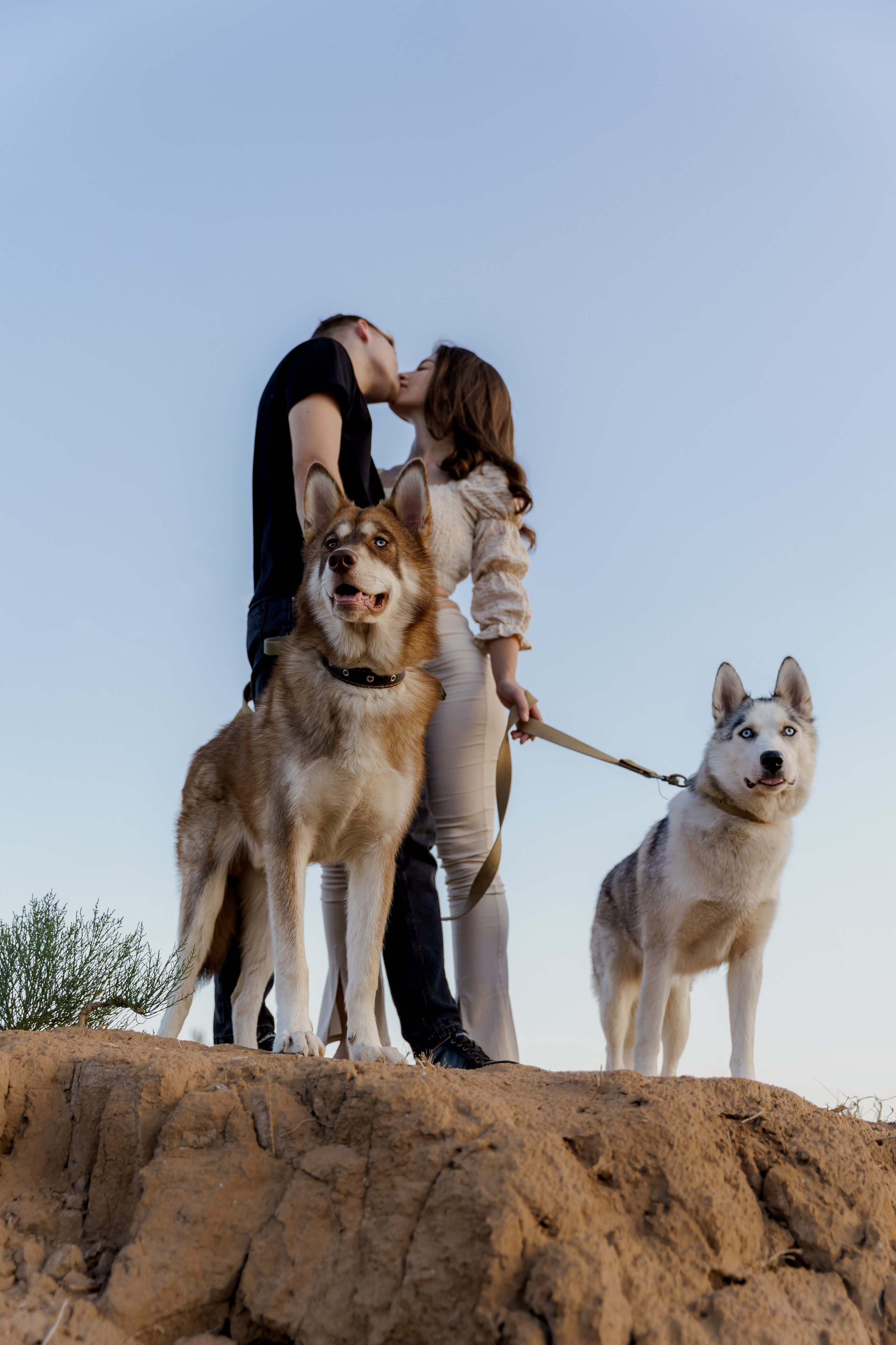 Love and husky. Свадебный фотограф Решетников Дмитрий