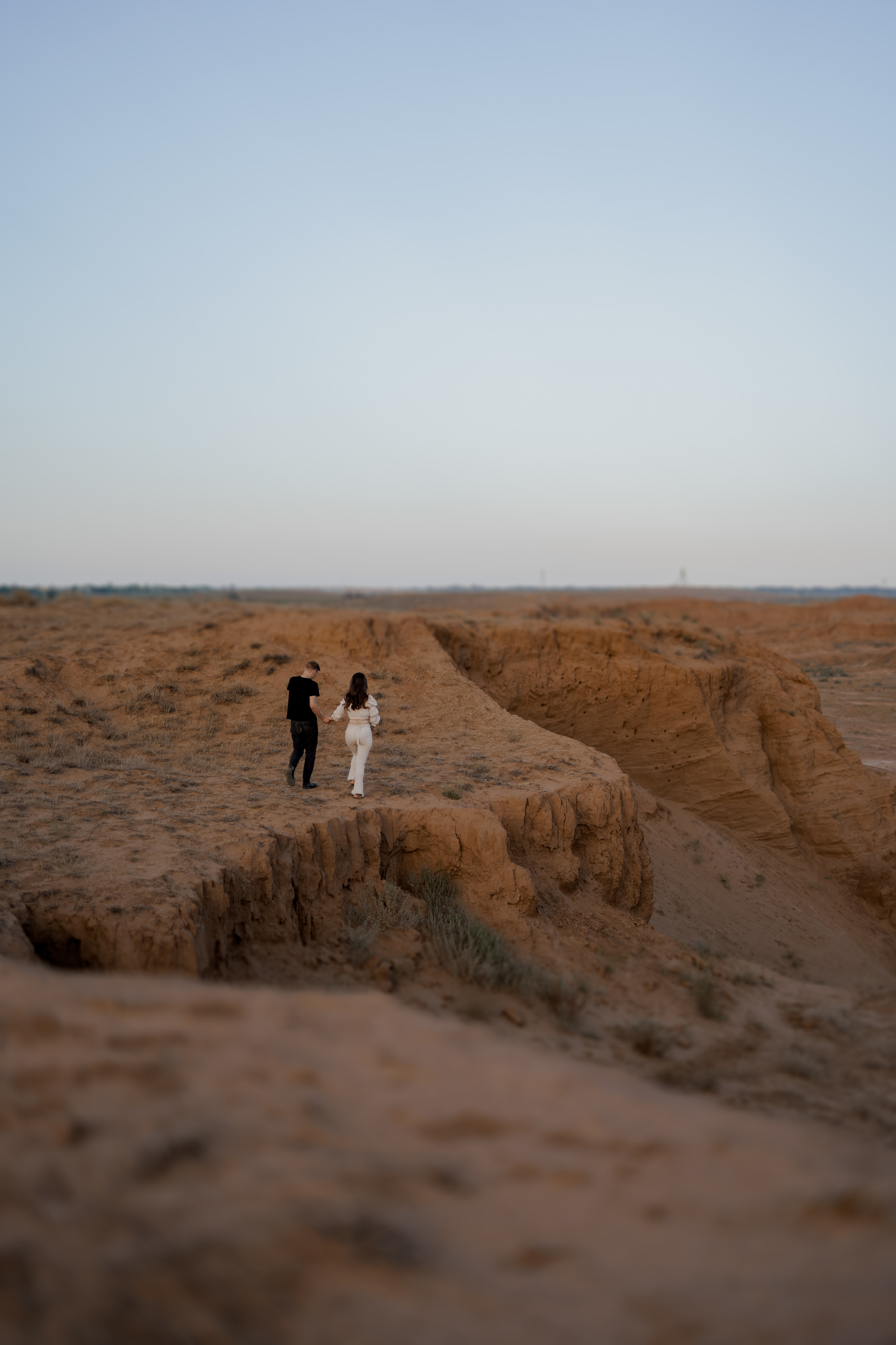 Love and husky. Свадебный фотограф Решетников Дмитрий