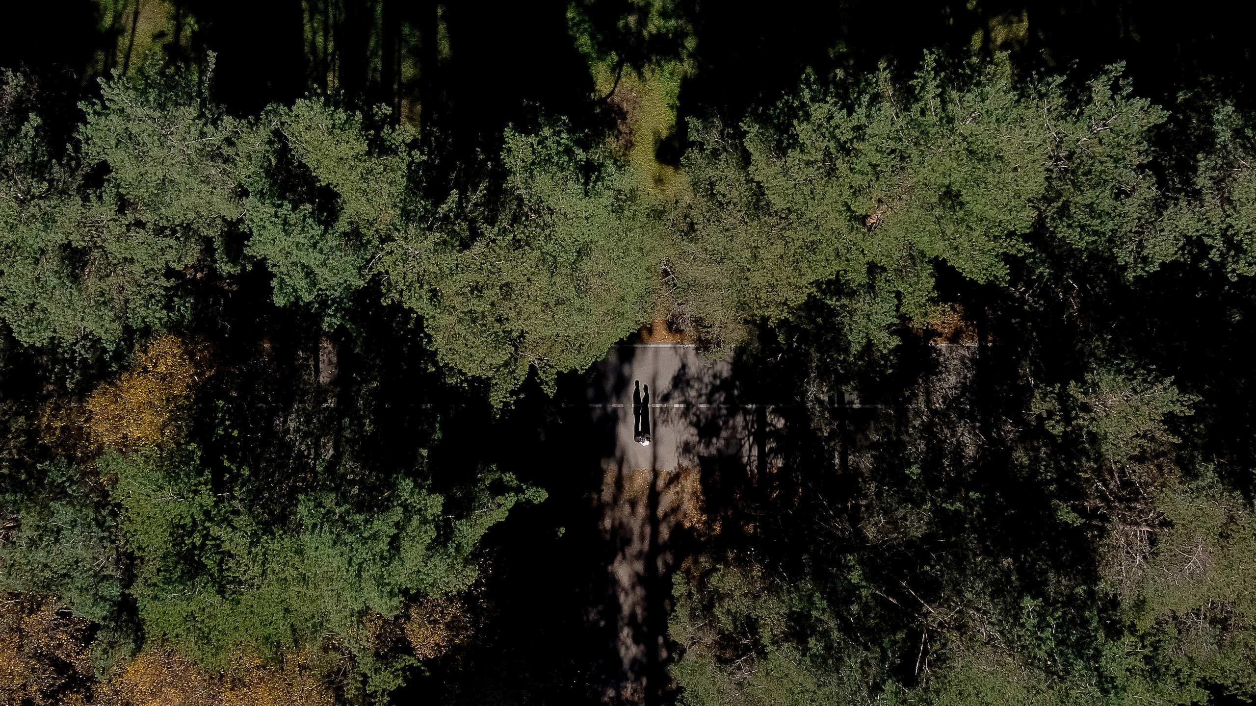 Dmitry & Victoria. Свадебный фотограф Решетников Дмитрий