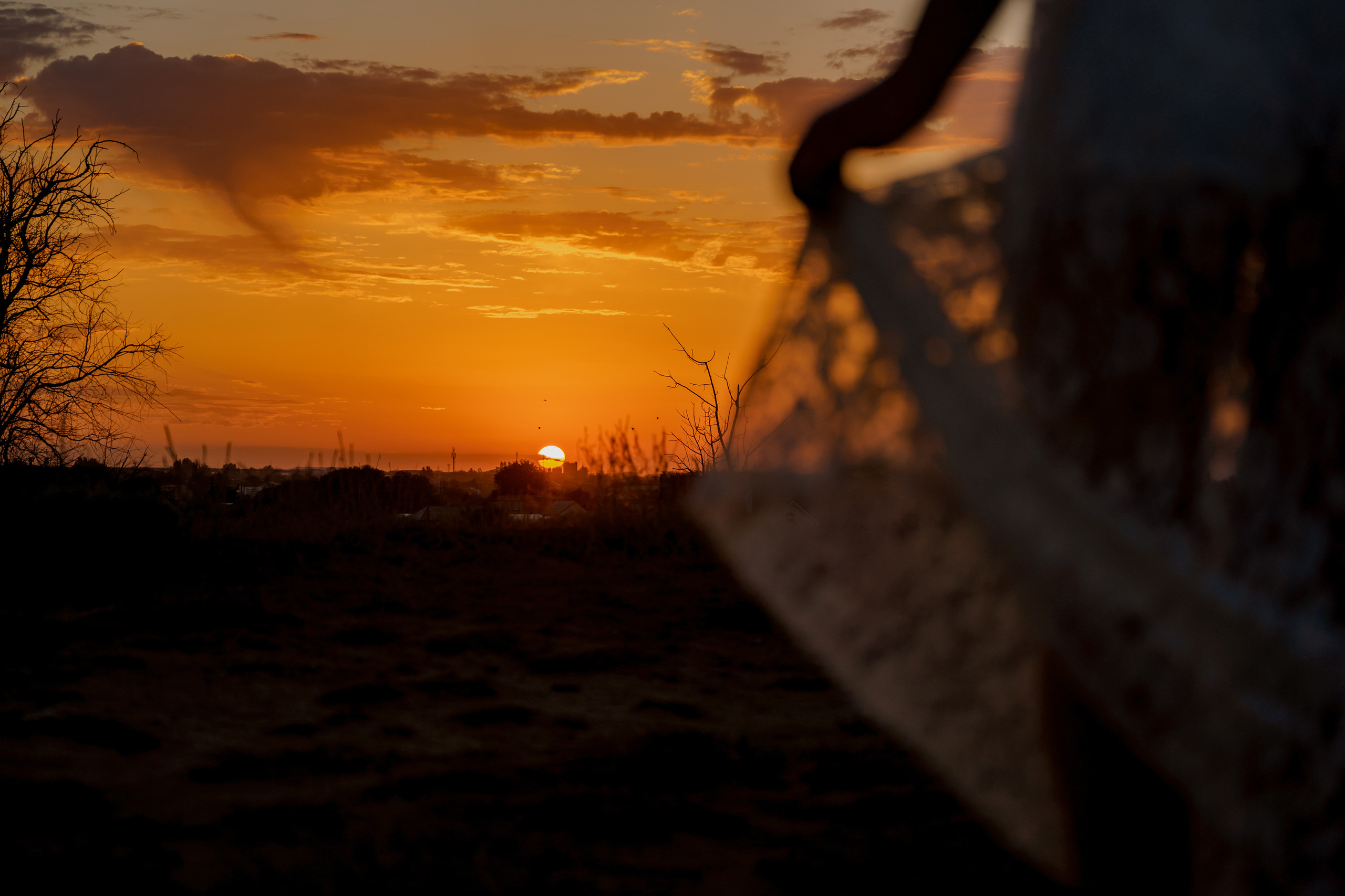Love and husky. Свадебный фотограф Решетников Дмитрий