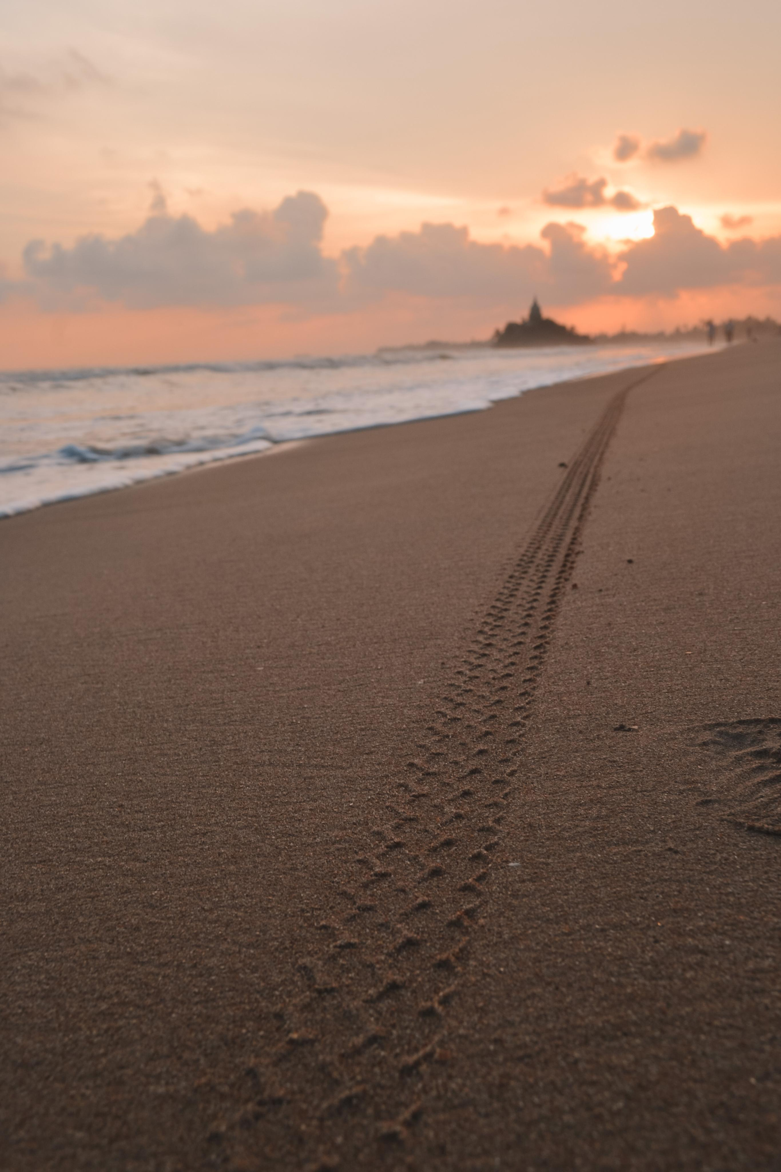 Anton. Фотограф Шри-Ланка Лукьянова Александра