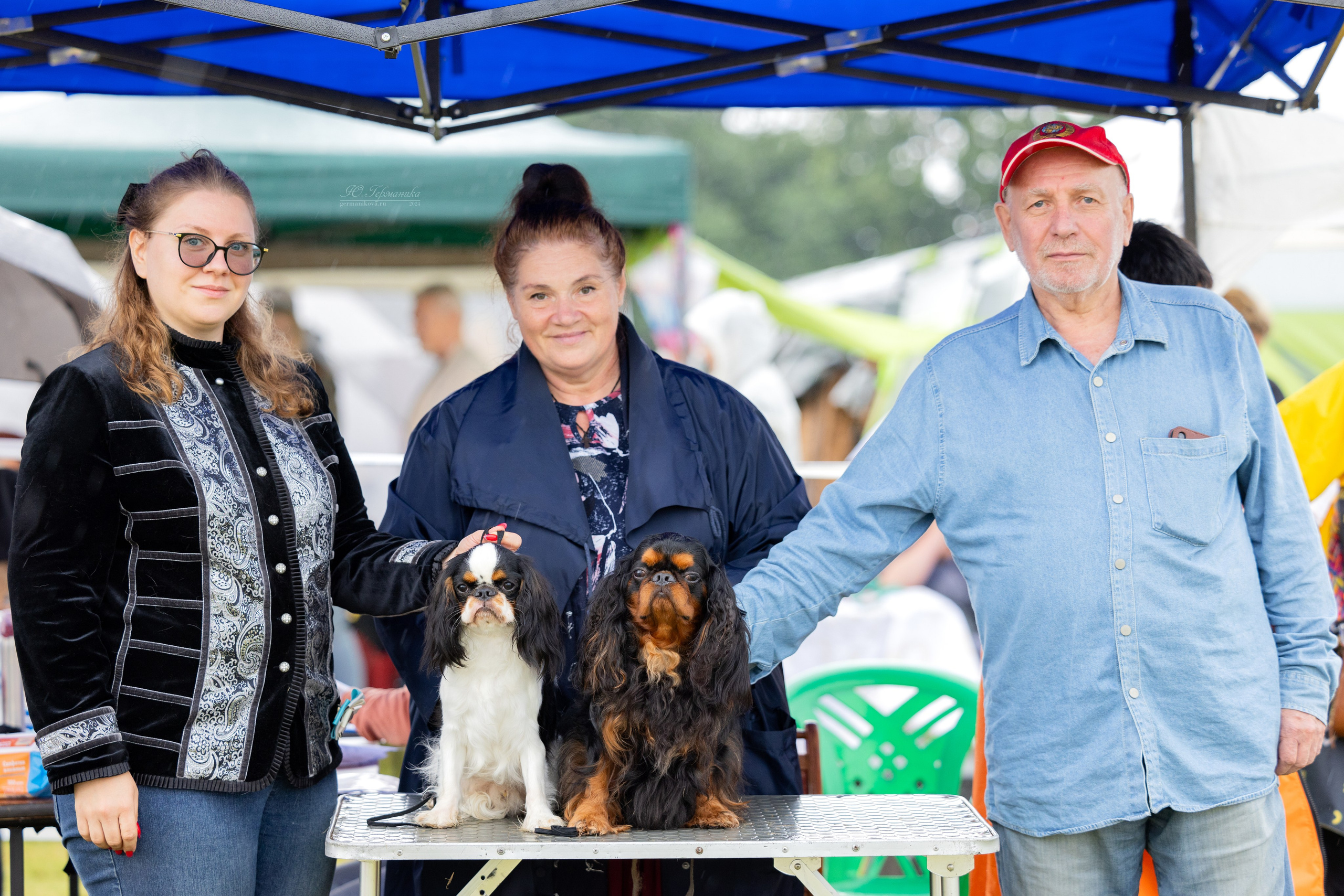 Ярославль 21.07.24 и Балашиха 13.07.24. Фотограф-анималист Юлия Германика