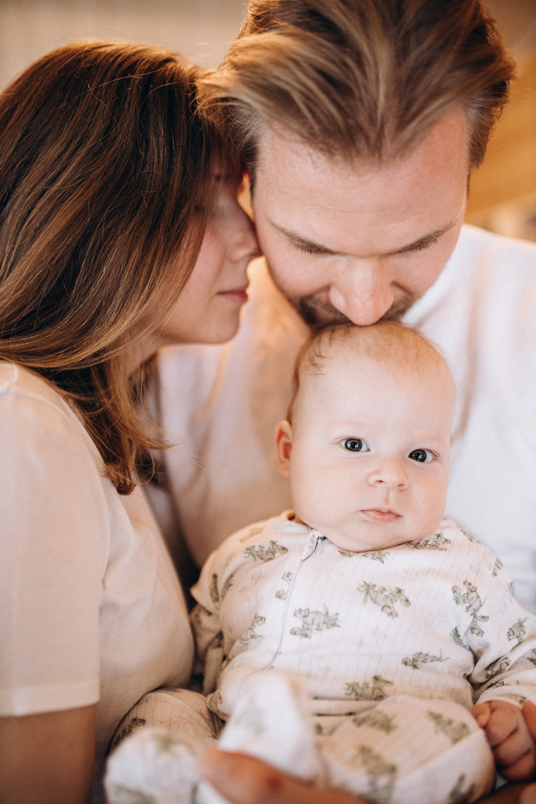 Коттедж и лес. Фотосервис курорта «Охта Парк­­­»