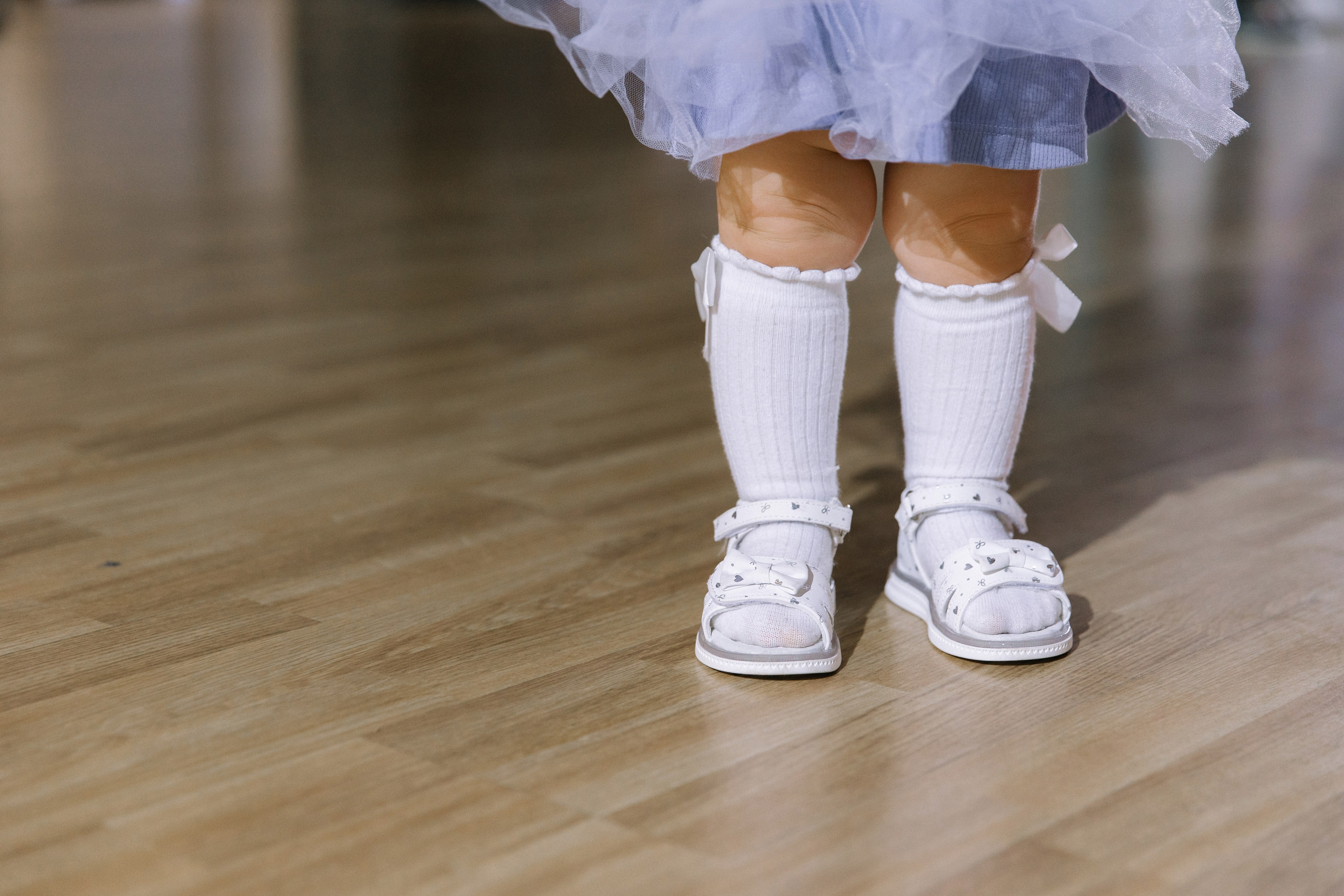 Сезон пионов. Фотограф Елена Краснопевцева