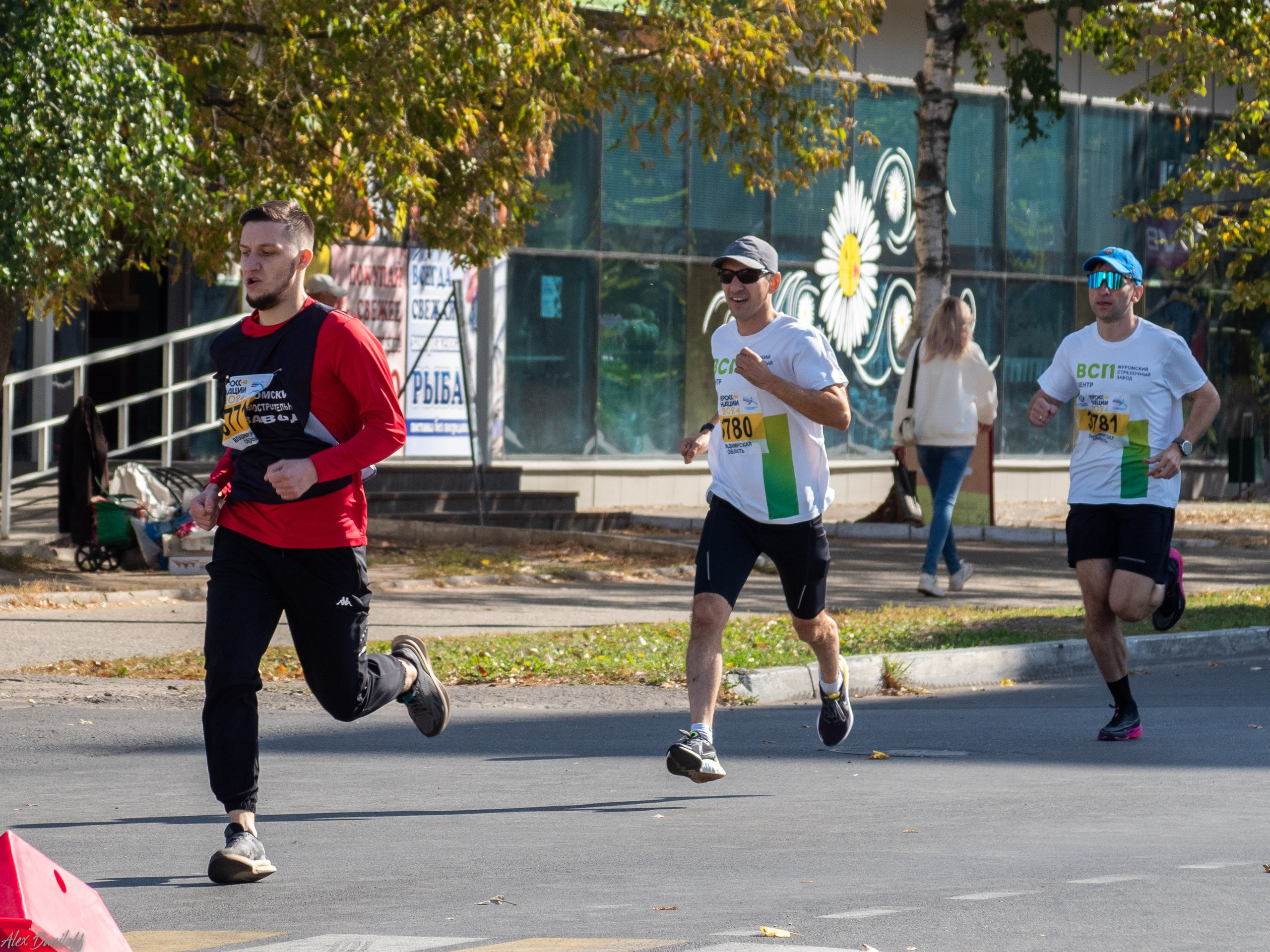 Кросс нации 2024. Муром-Инфо. Новости культуры, образования, спорта в городе Муром