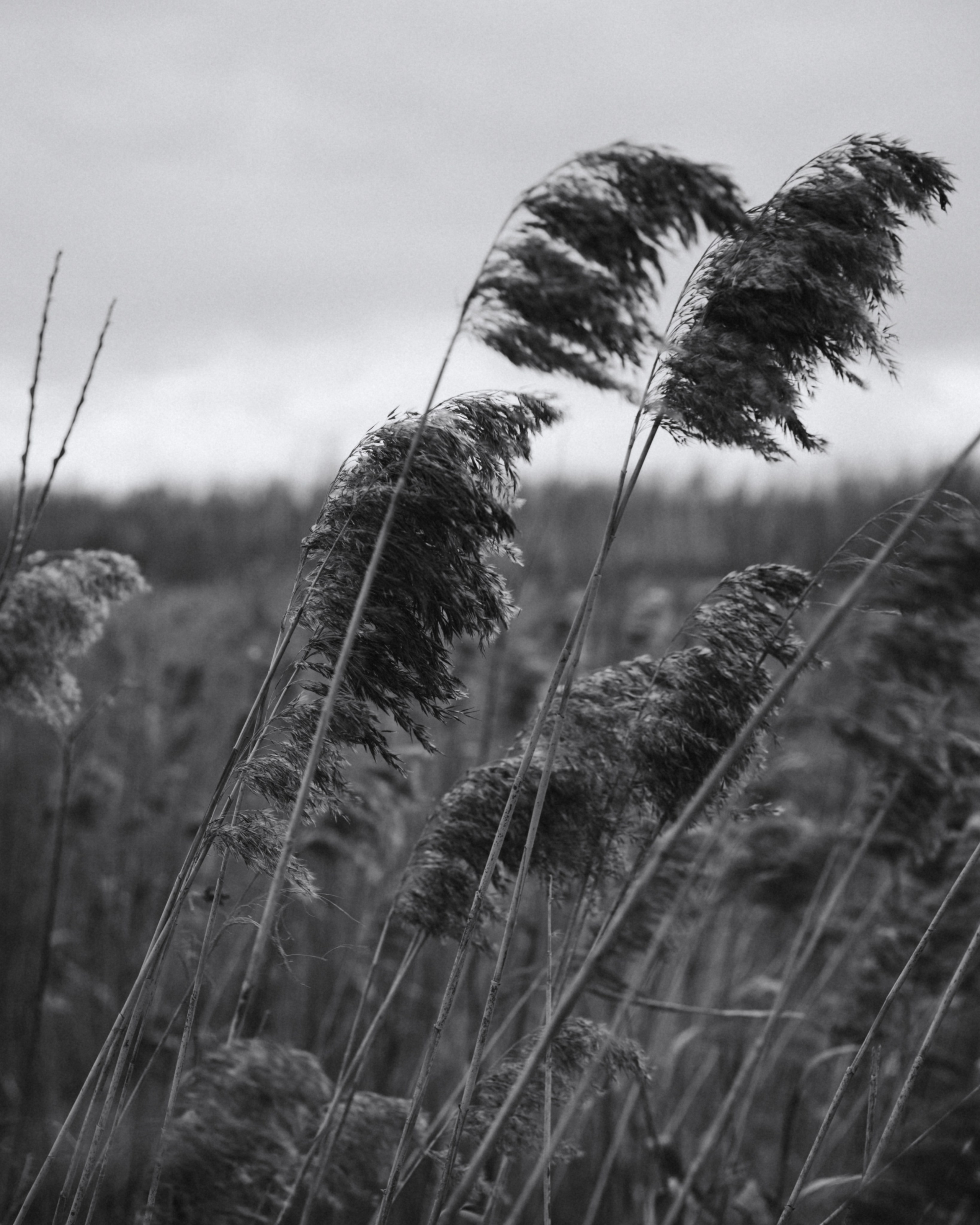 Костя. Больше не греет