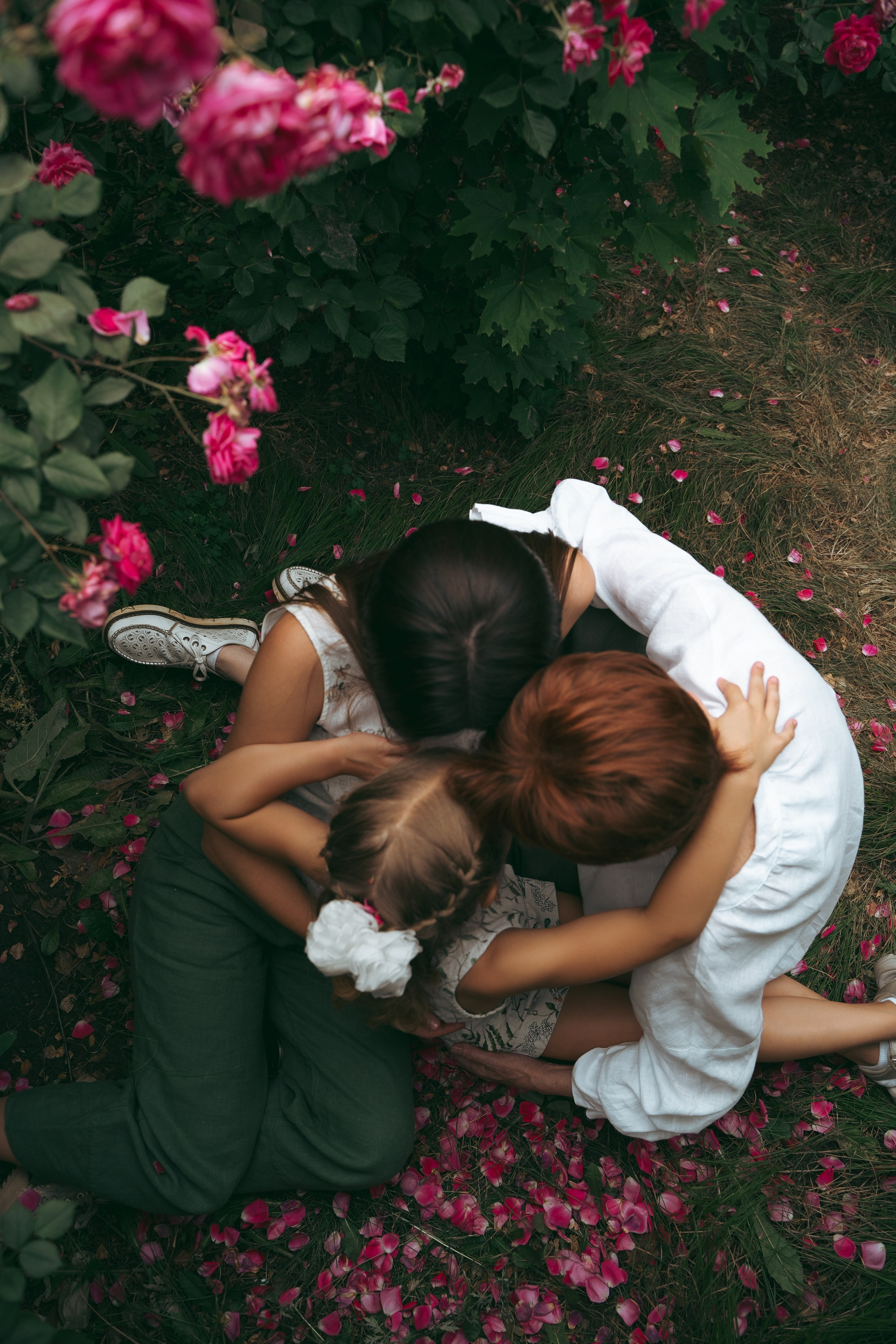 Розы. Фотограф Мария Зайчик