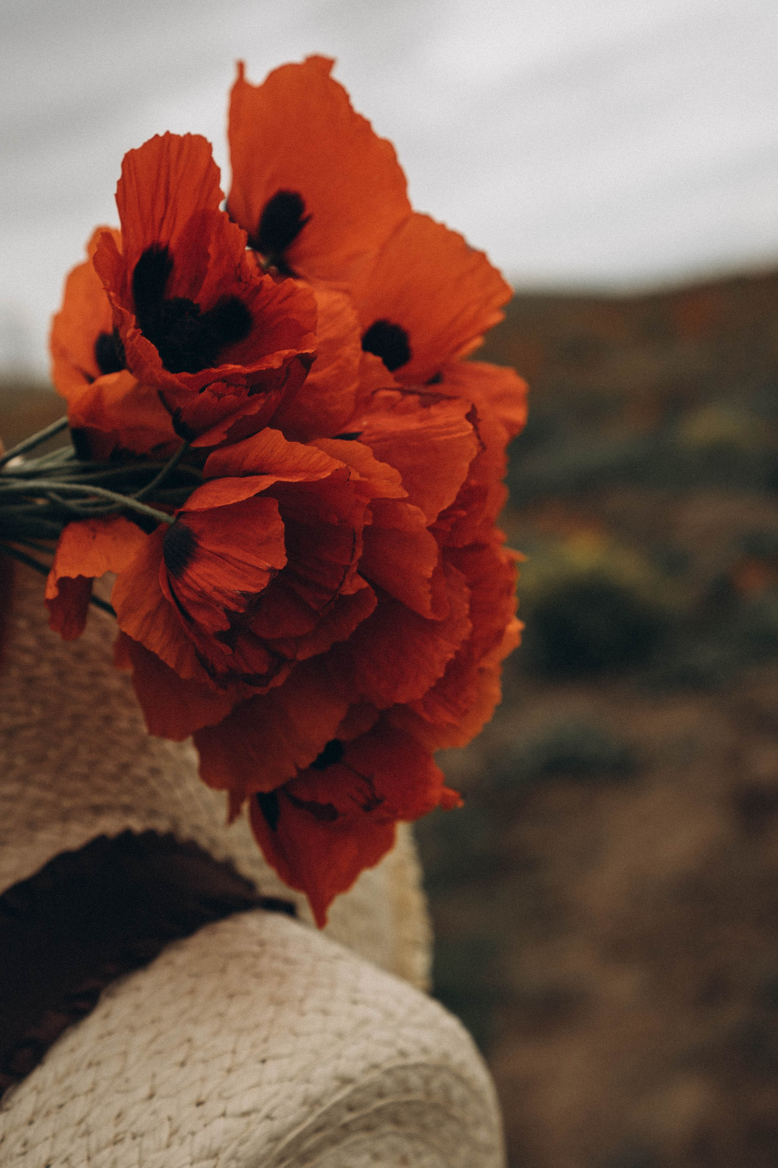 Путешествие в Дагестане. Профессиональный фотограф, Санкт-Петербург — Виктория Богомолова