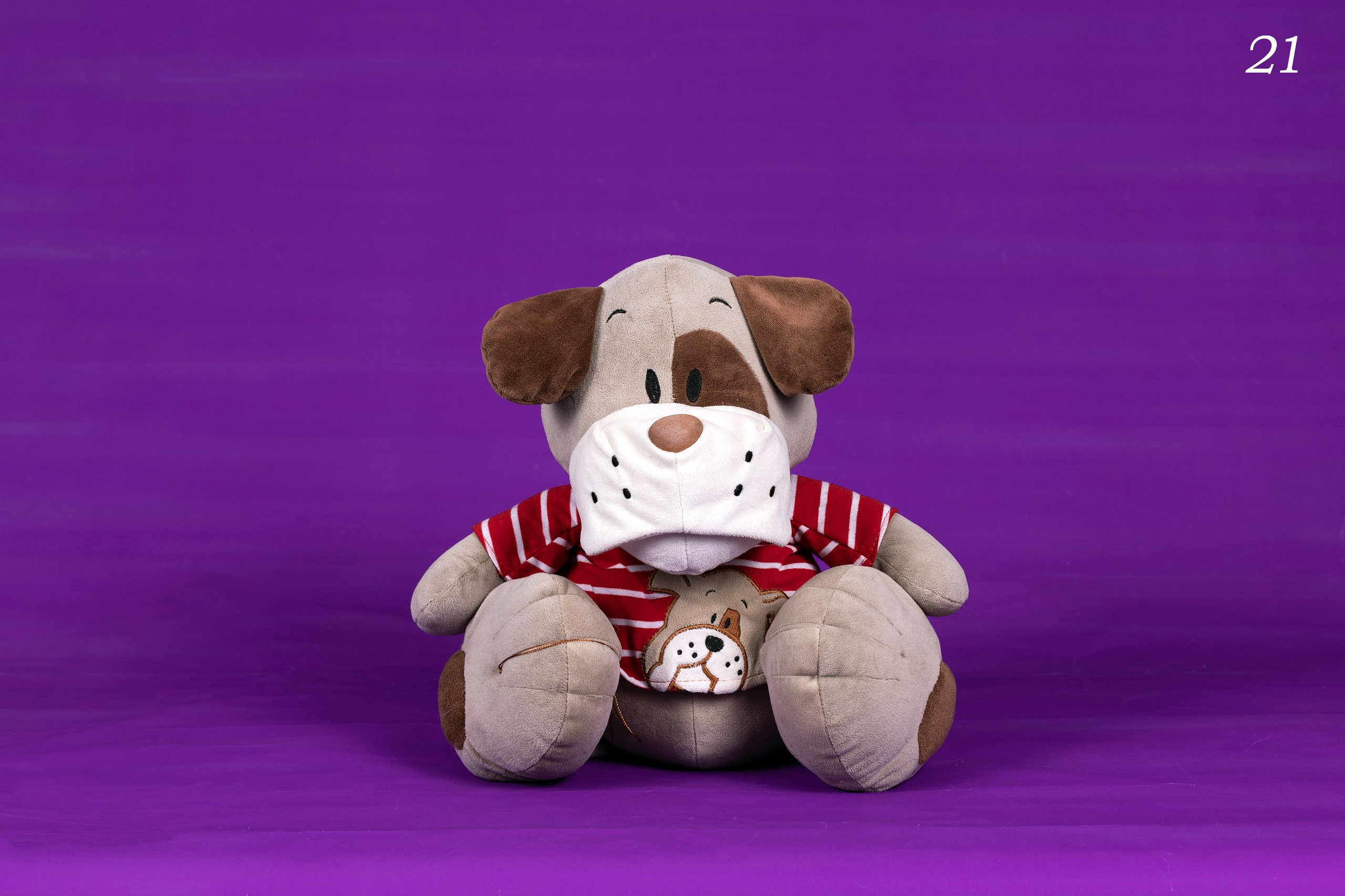 Фоны. Фотограф-анималист в Омске Екатерина Маричева