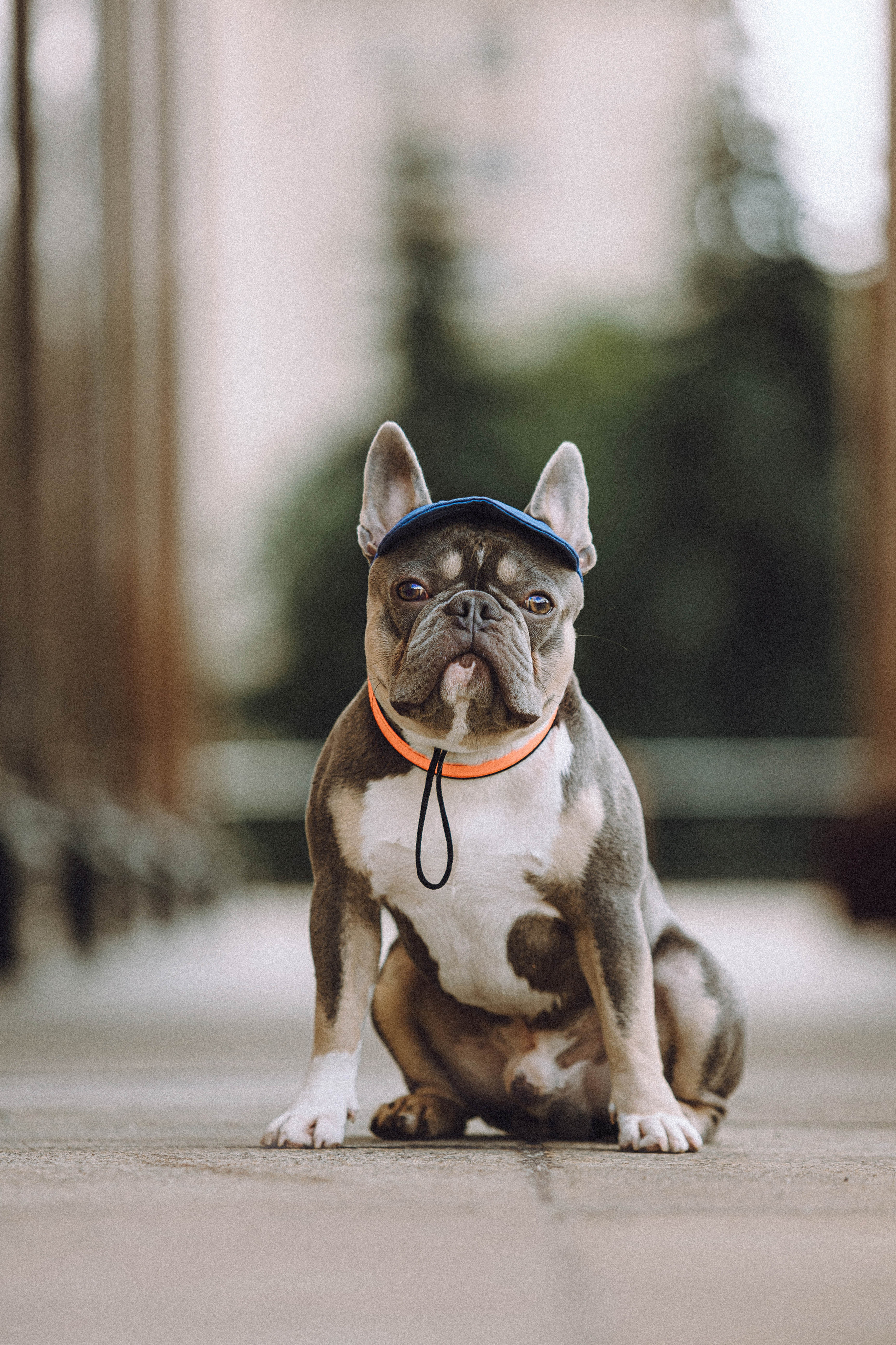 Регина, Сережа и Шелдон