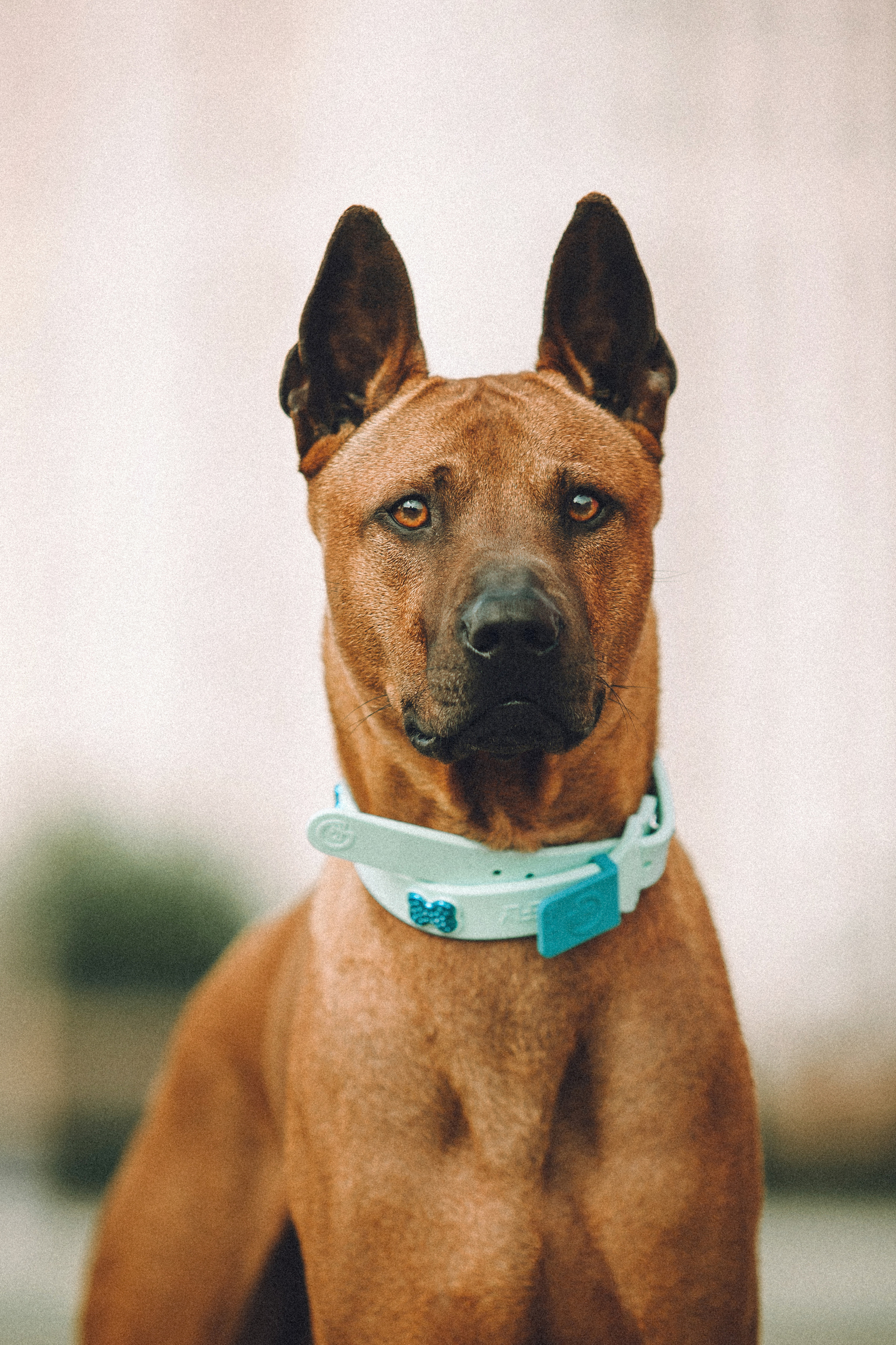 Оксана и Зевс