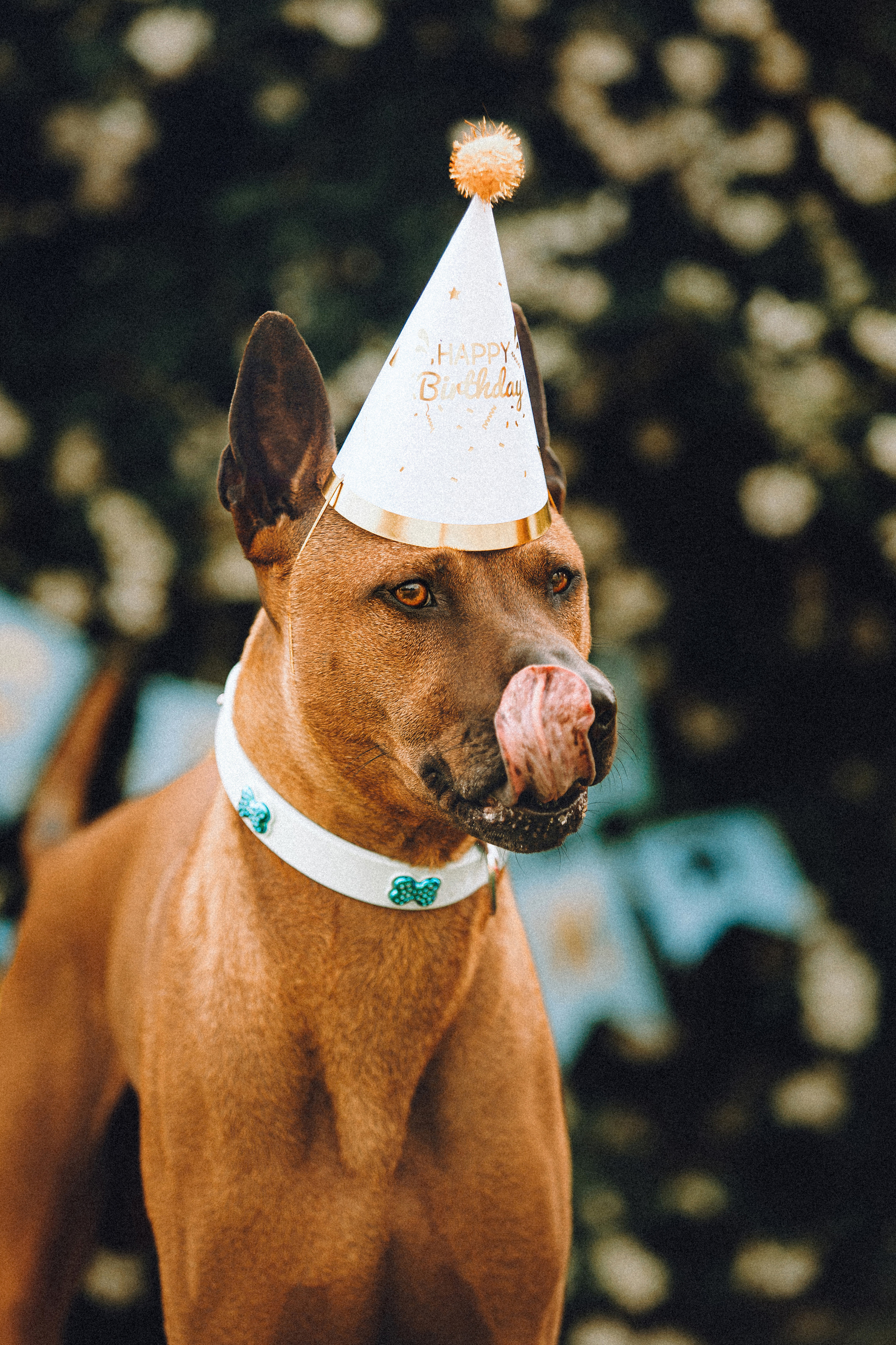 Оксана и Зевс