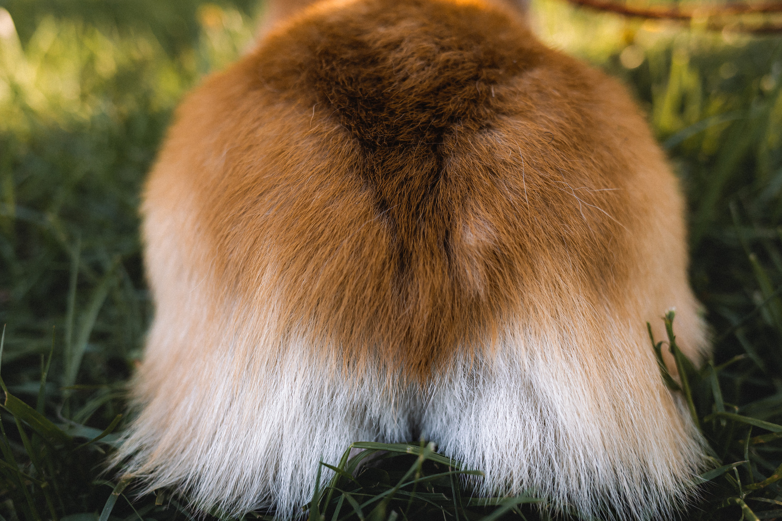 Вика, Глеб и Бадди