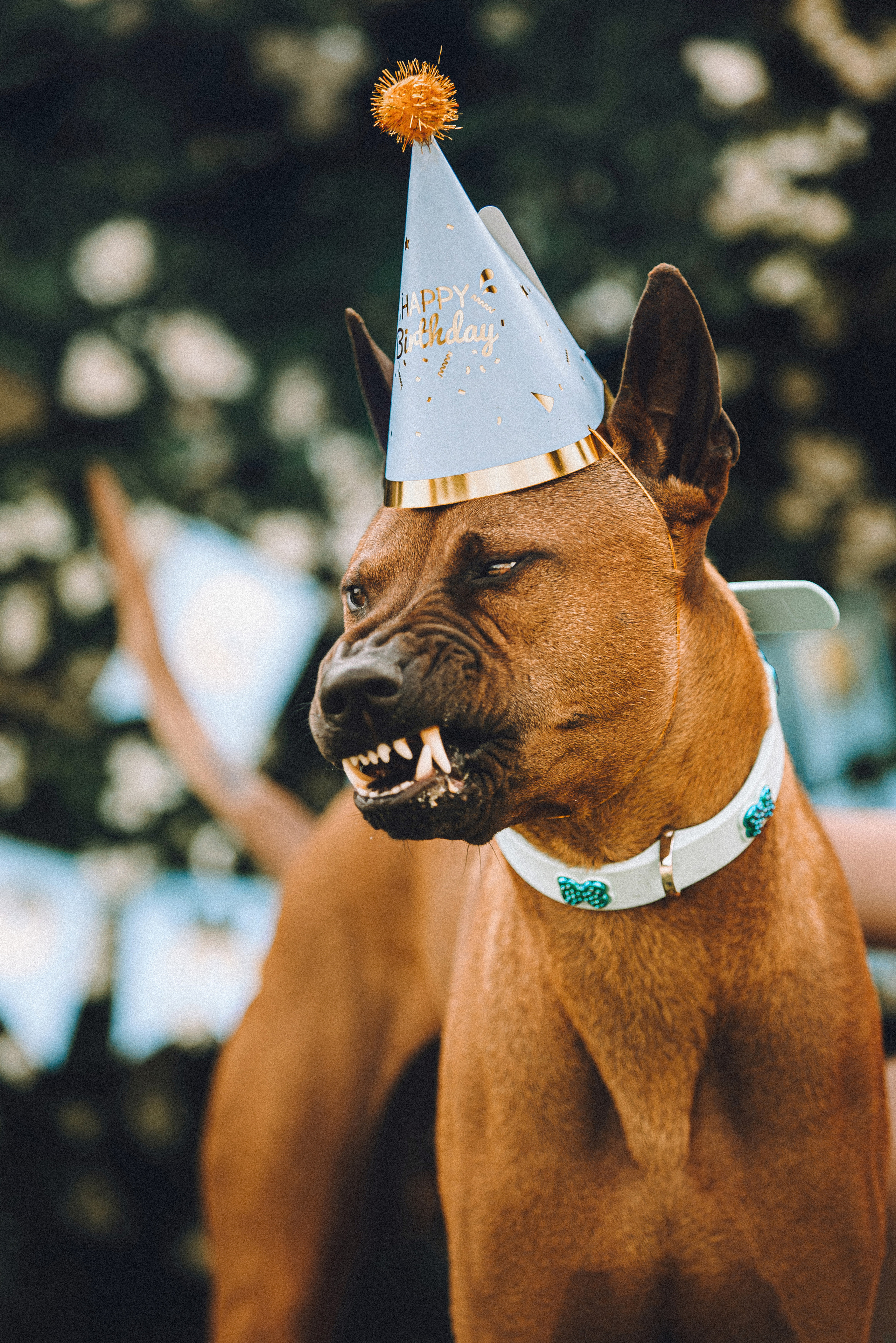 Оксана и Зевс