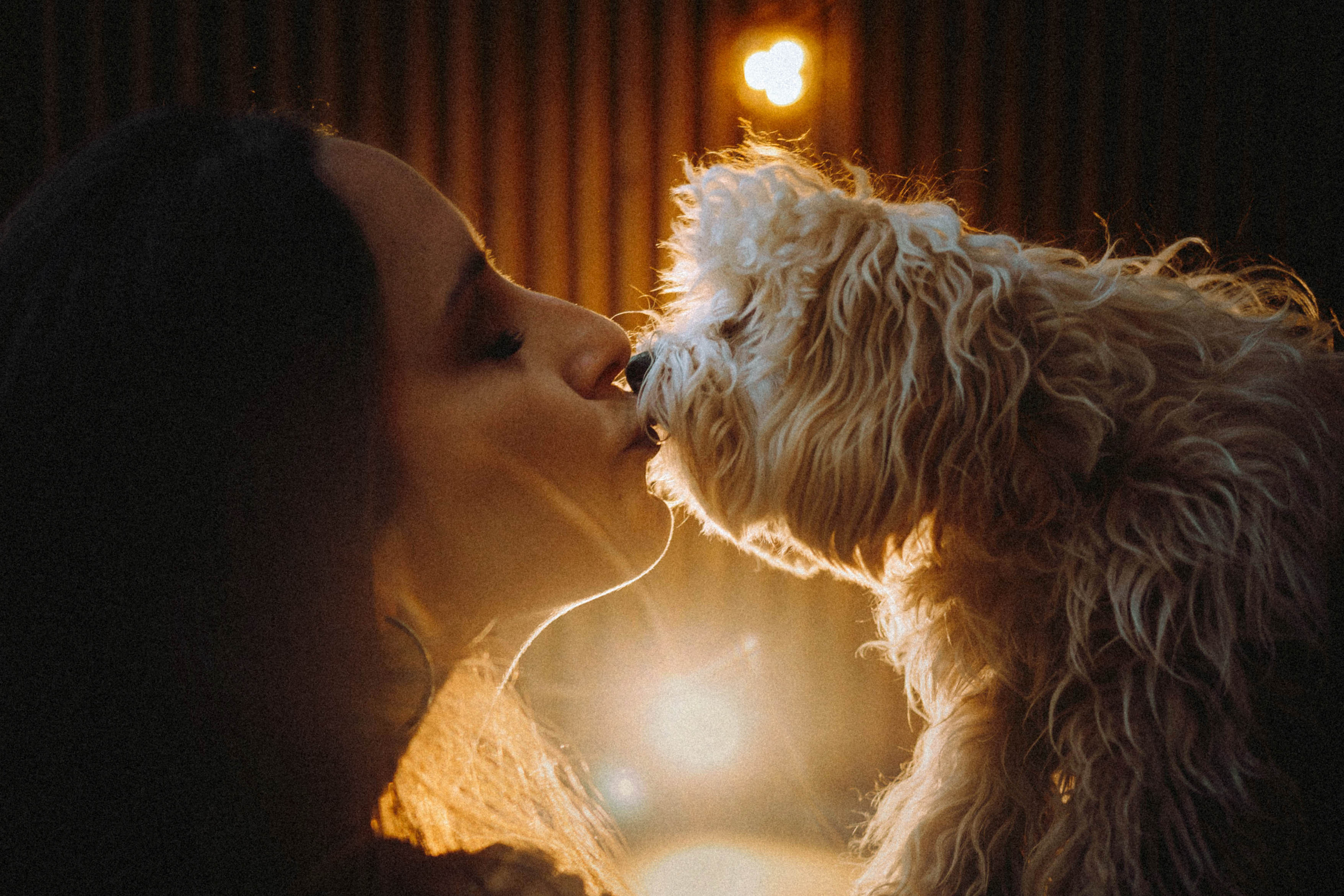 Настя и Симба