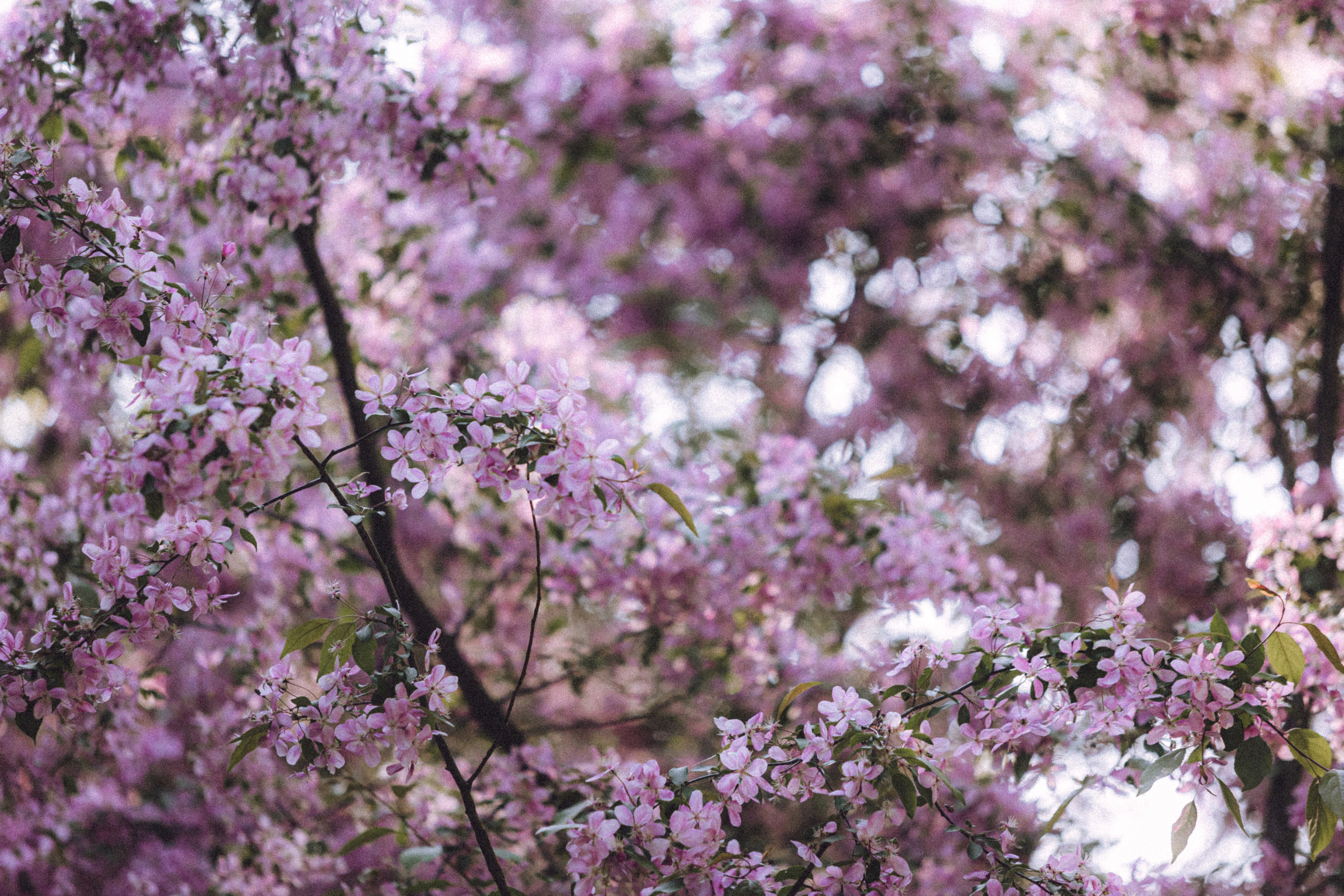 Ксюша, Андрей и Юки