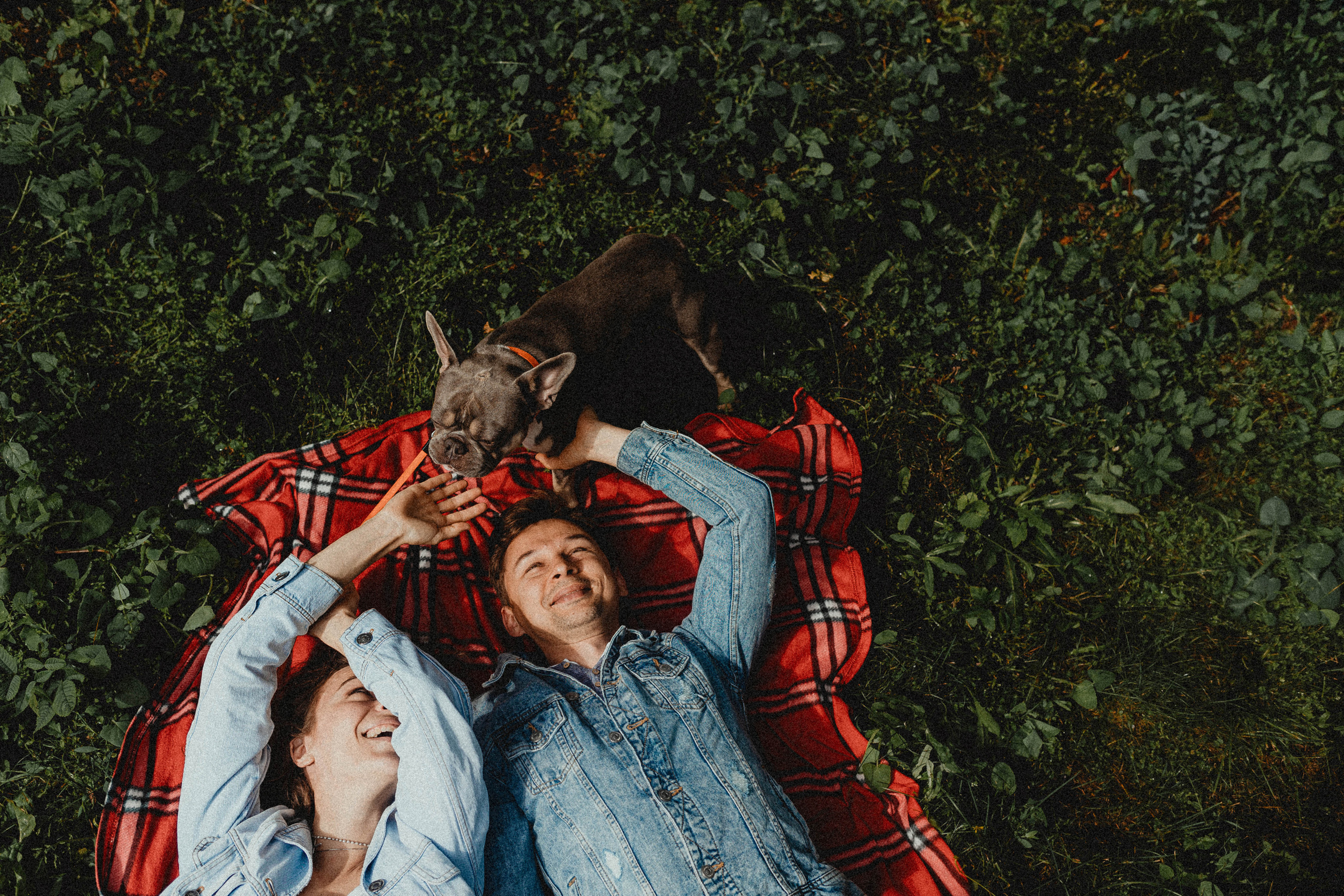 Регина, Сережа и Шелдон