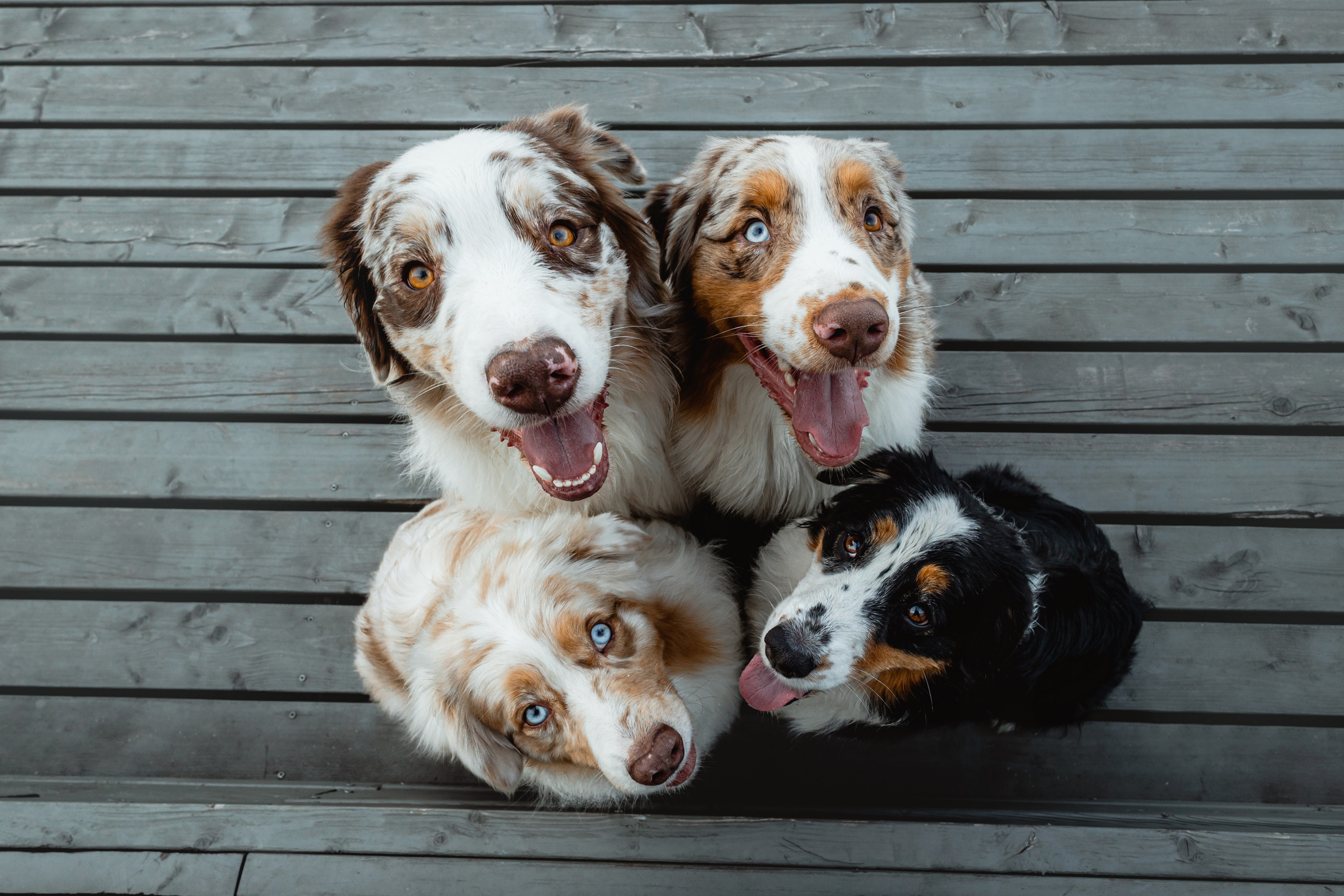 Маша и ее семья