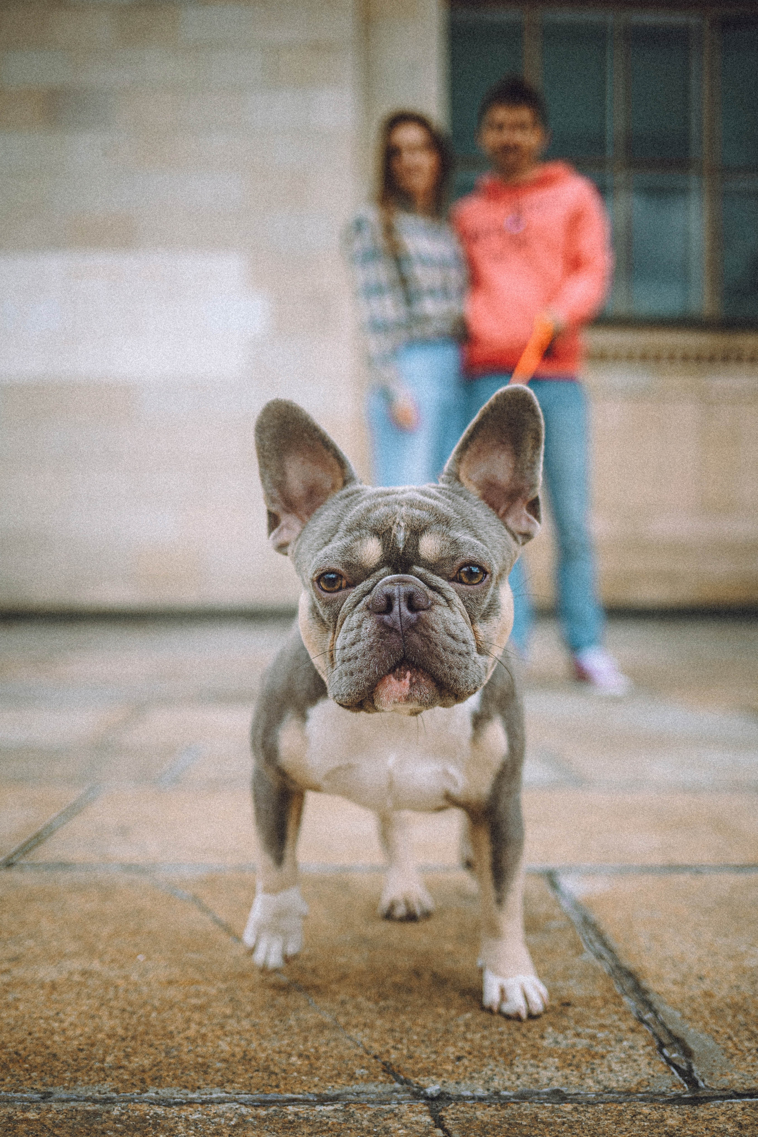 Регина, Сережа и Шелдон