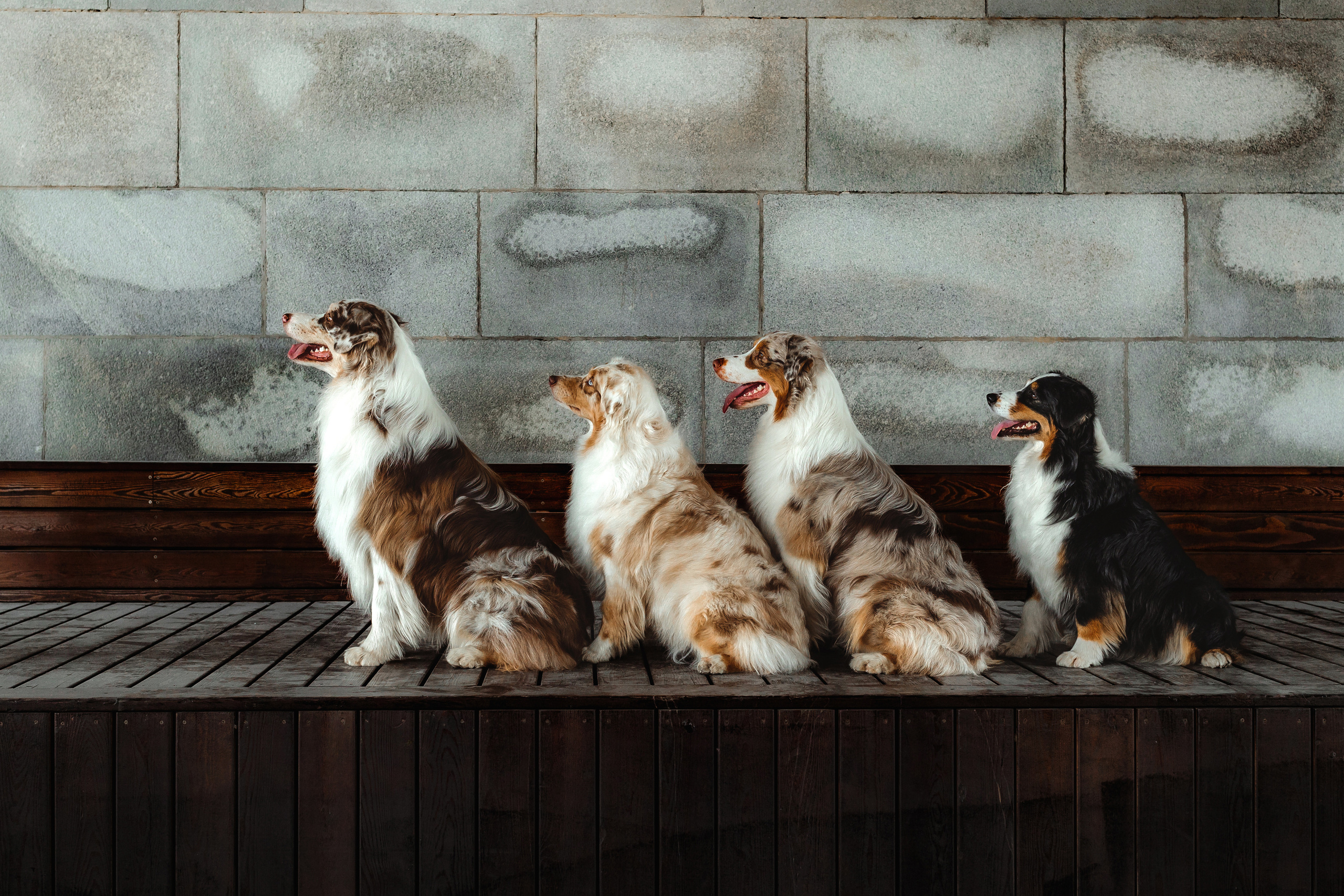 Маша и ее семья