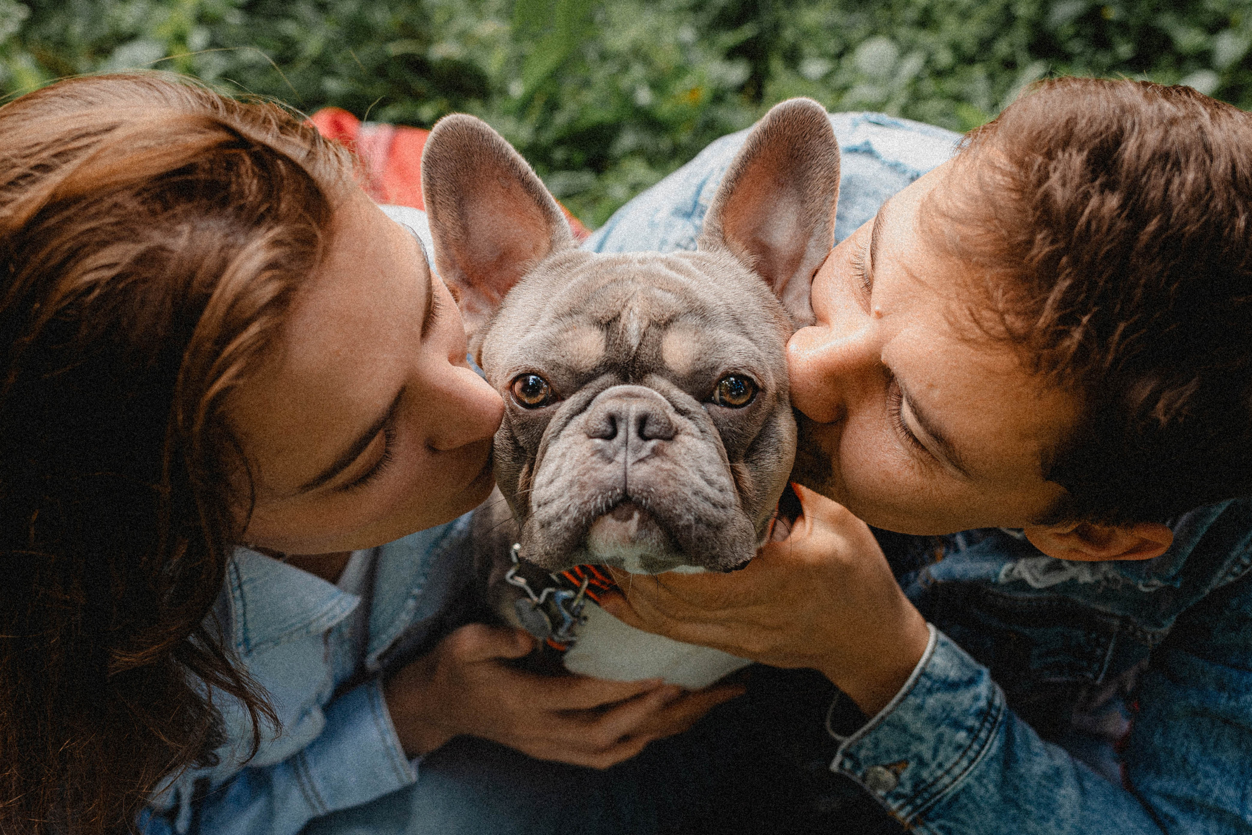 Регина, Сережа и Шелдон