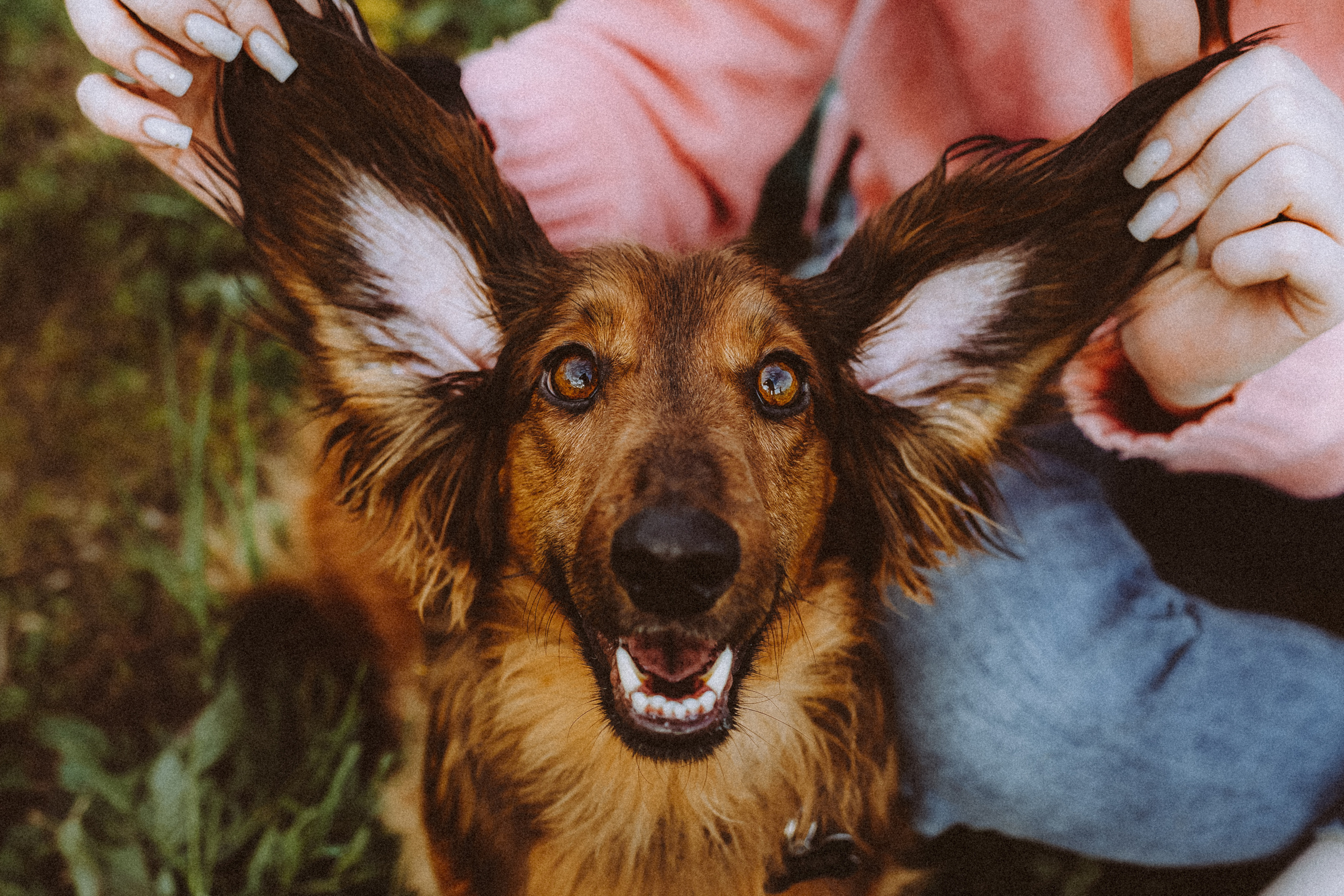 Джаз, Остин и их семья