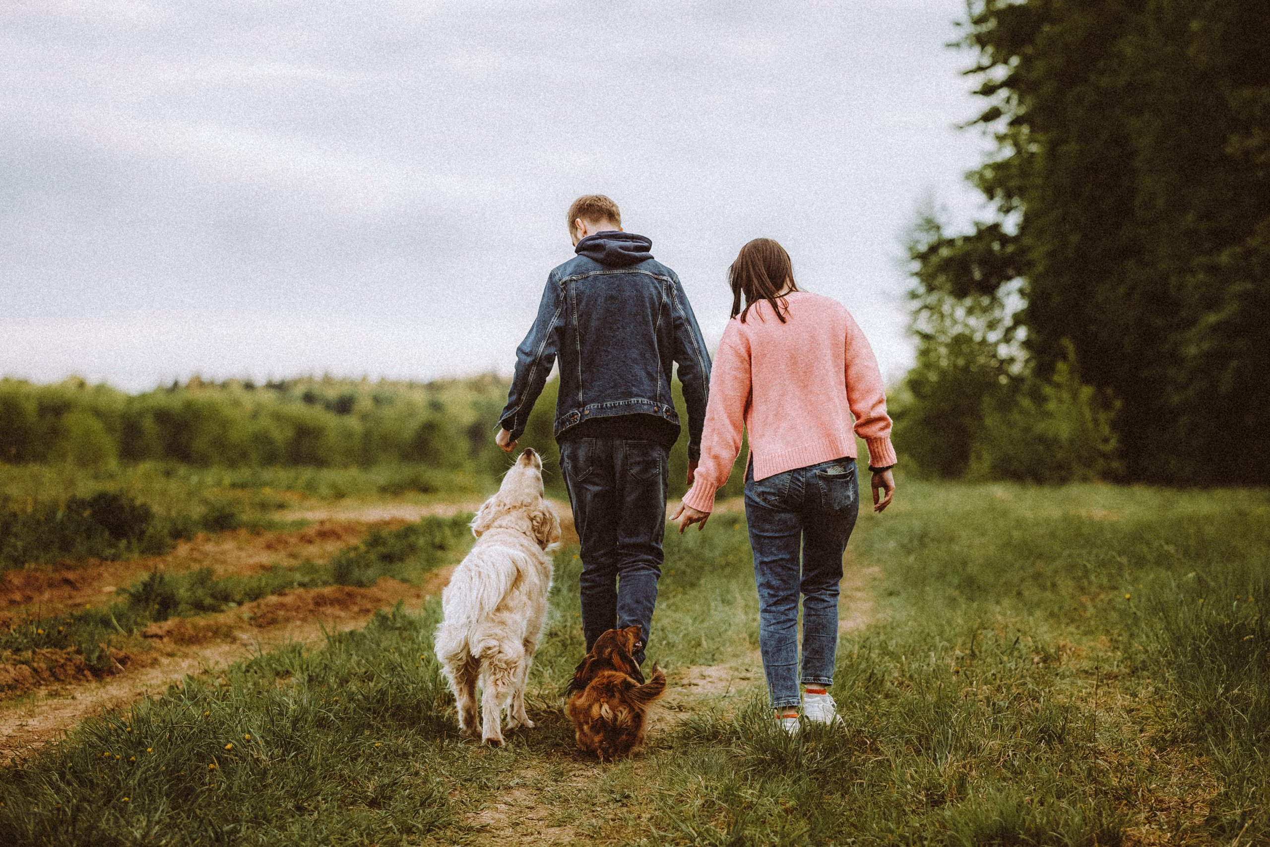 Джаз, Остин и их семья