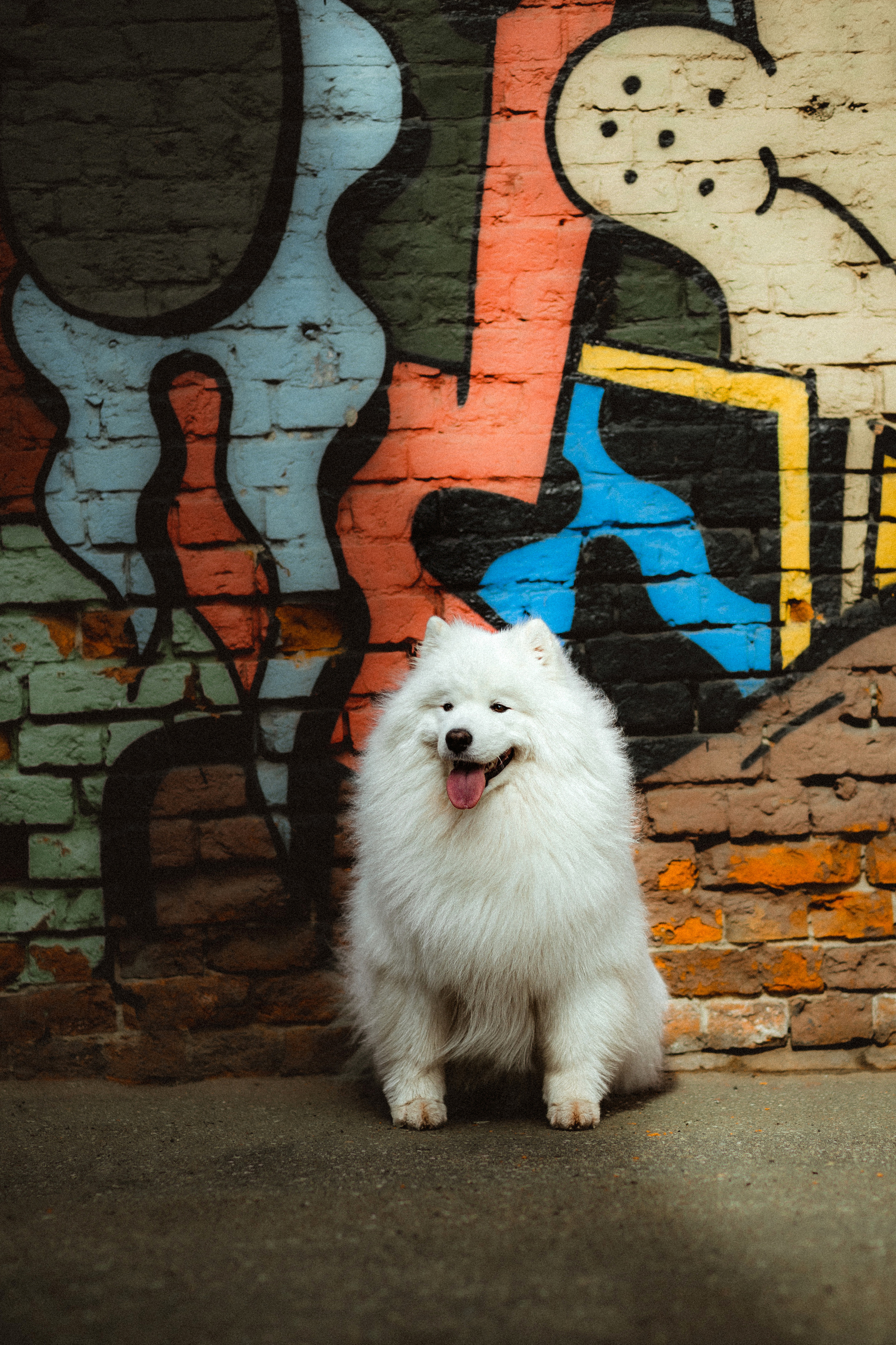 Вика и Балу