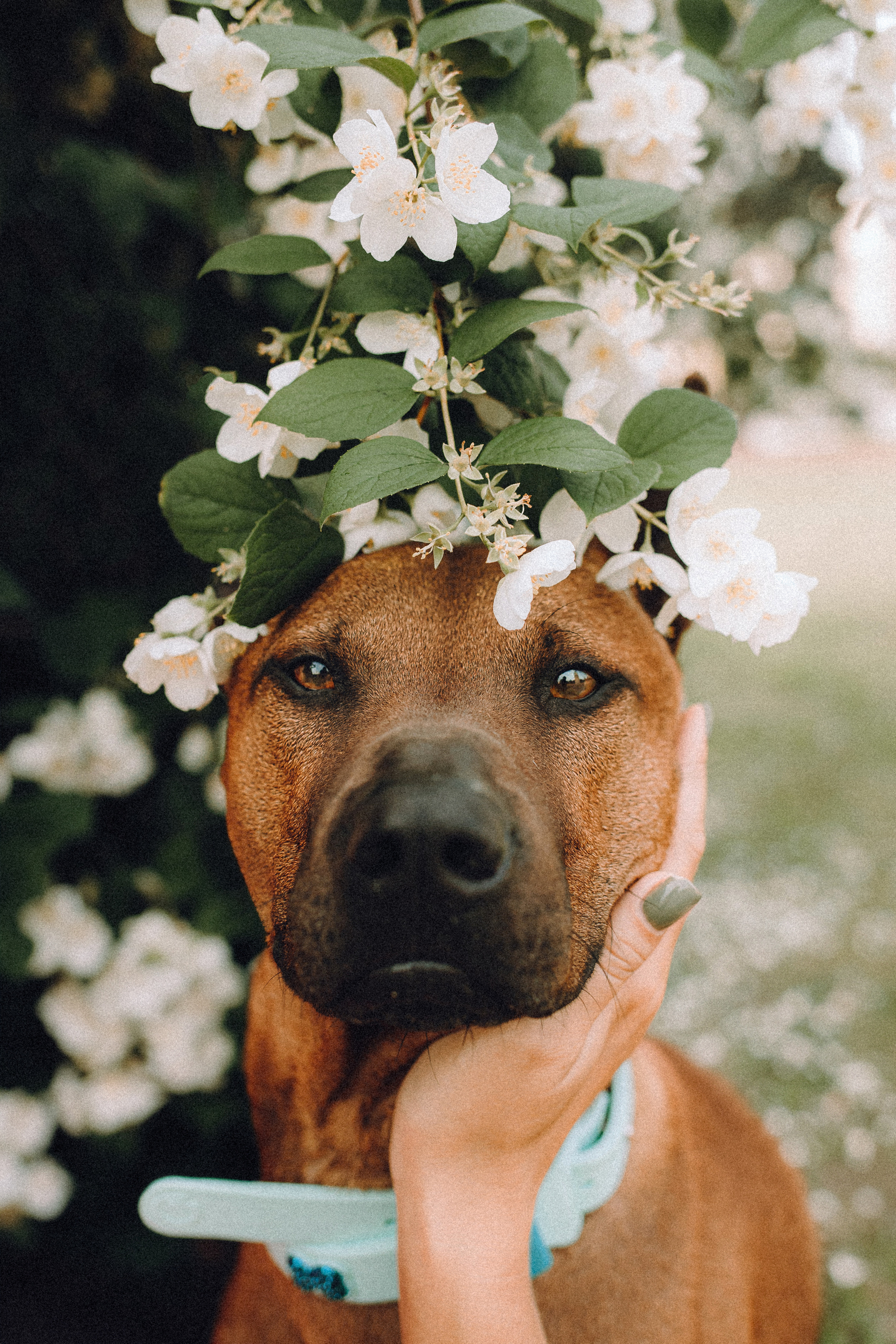 Оксана и Зевс