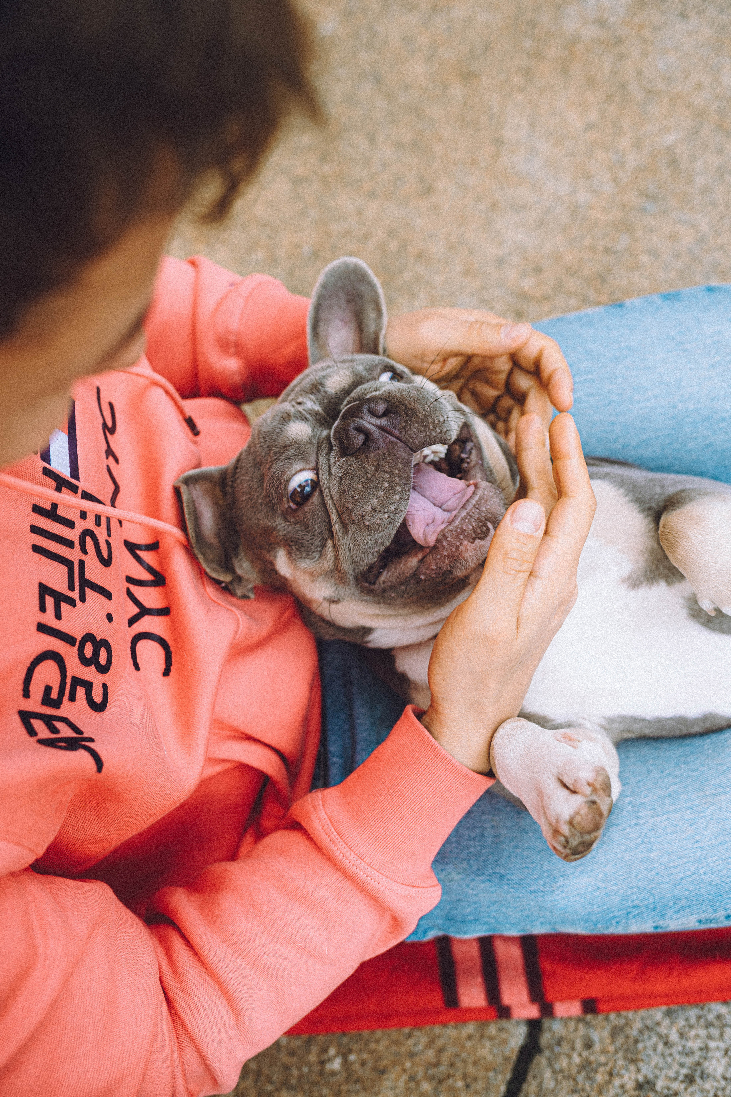 Регина, Сережа и Шелдон