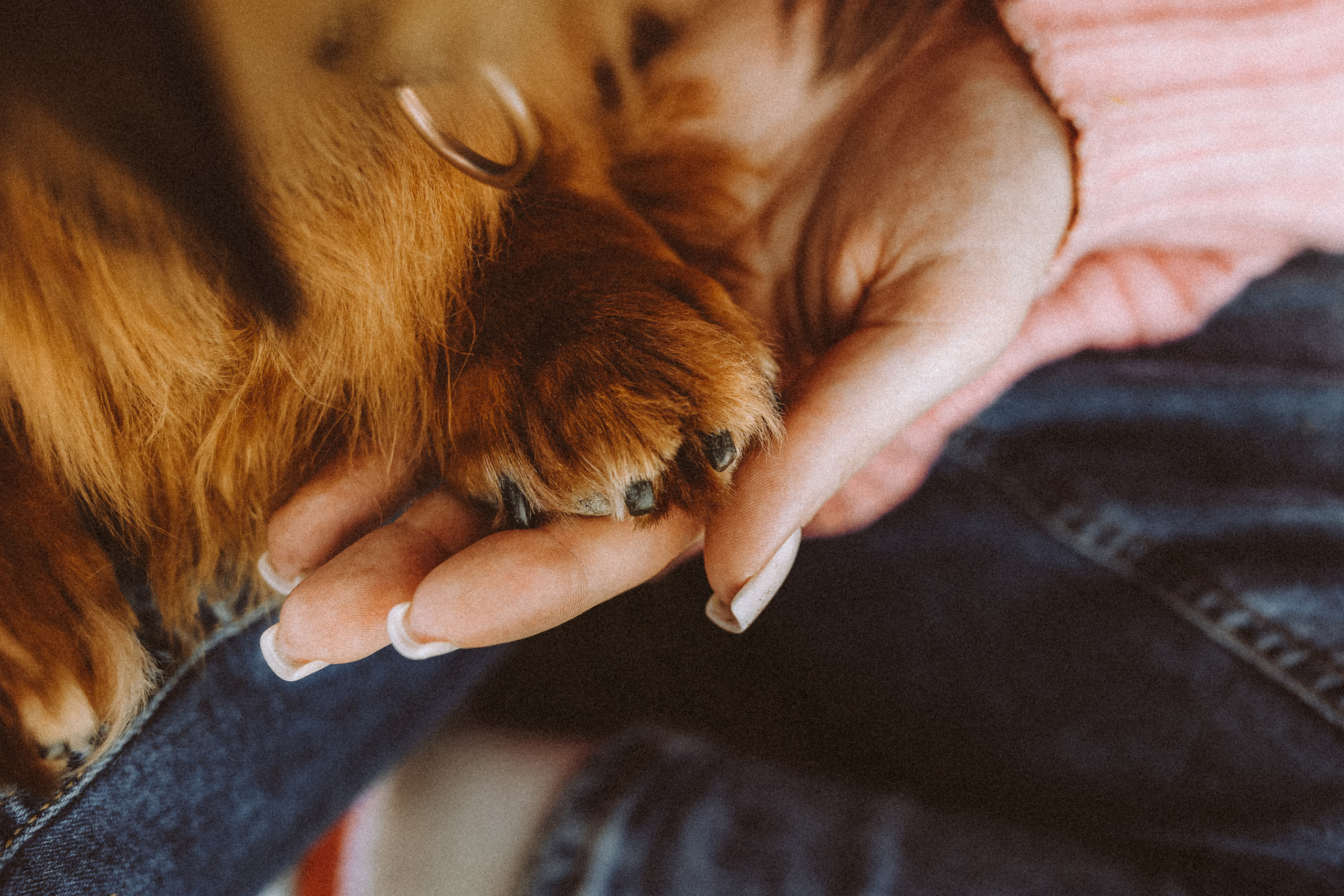 Джаз, Остин и их семья