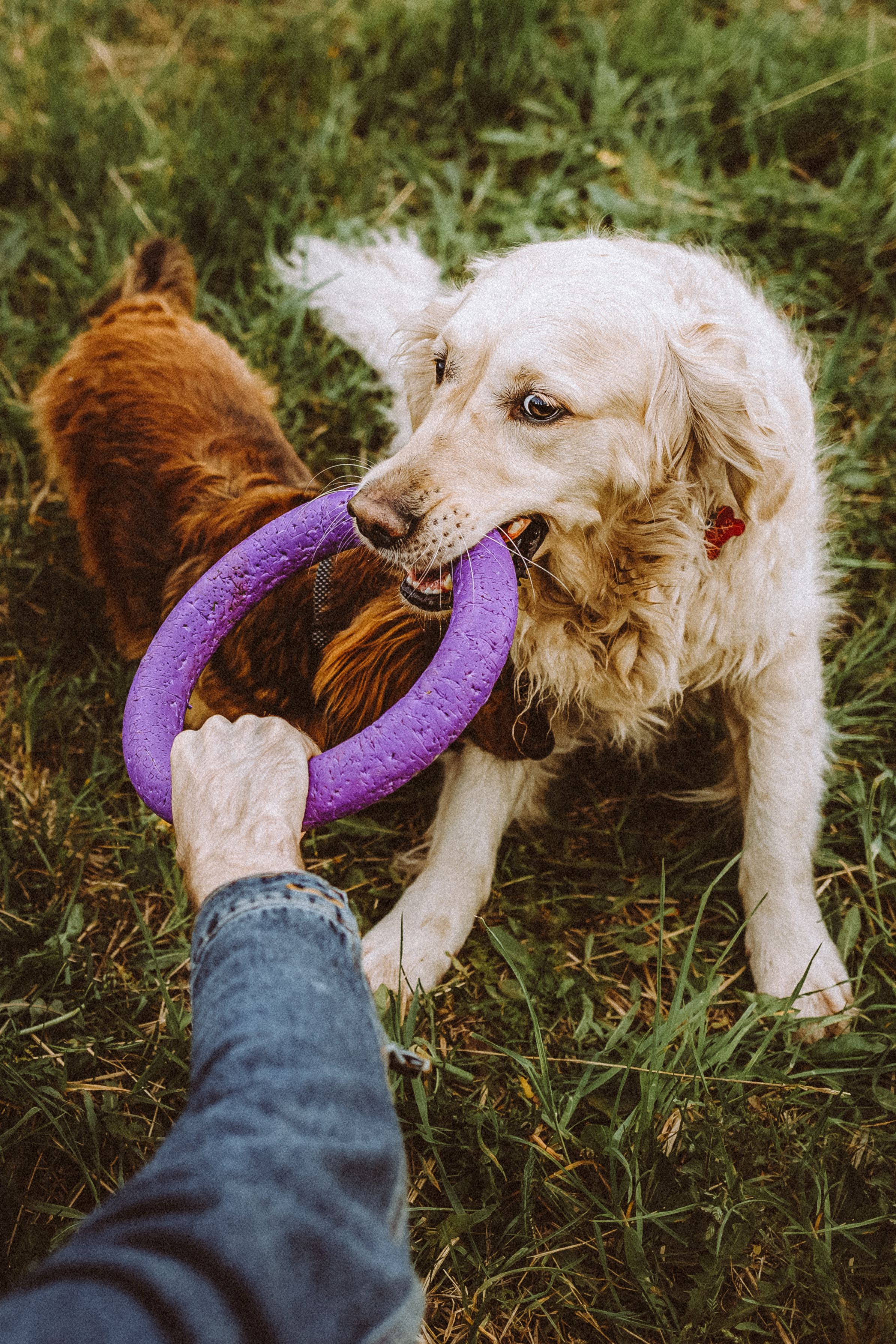 Джаз, Остин и их семья