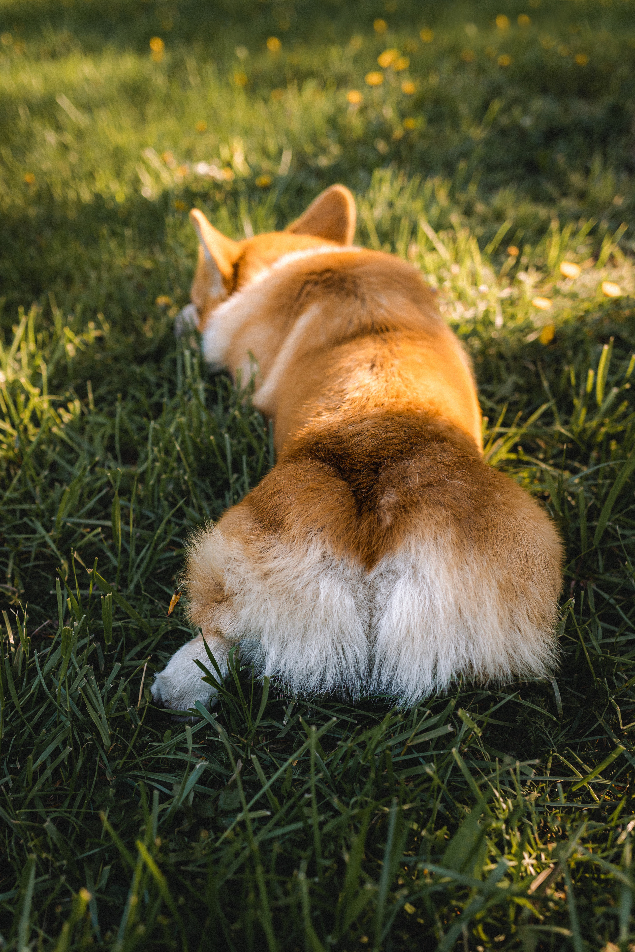 Вика, Глеб и Бадди