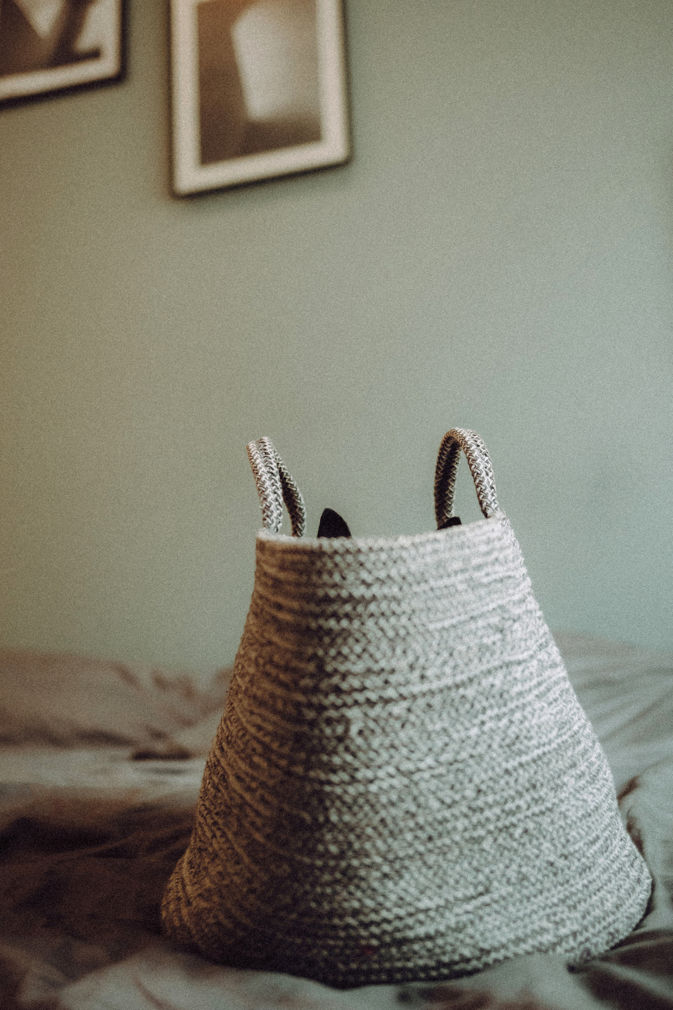 Марк, Челси, Маша и их семья