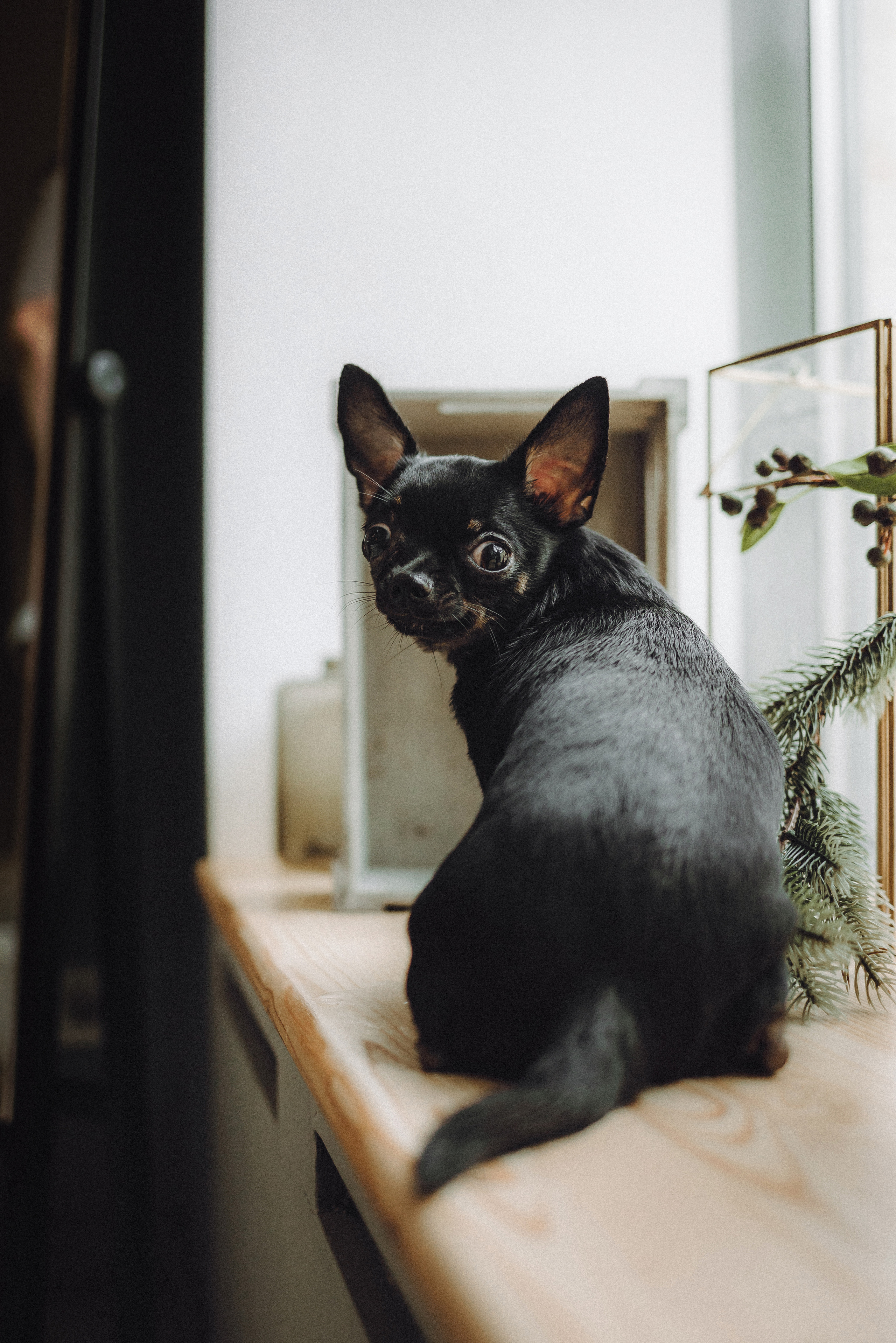 Марк, Челси, Маша и их семья