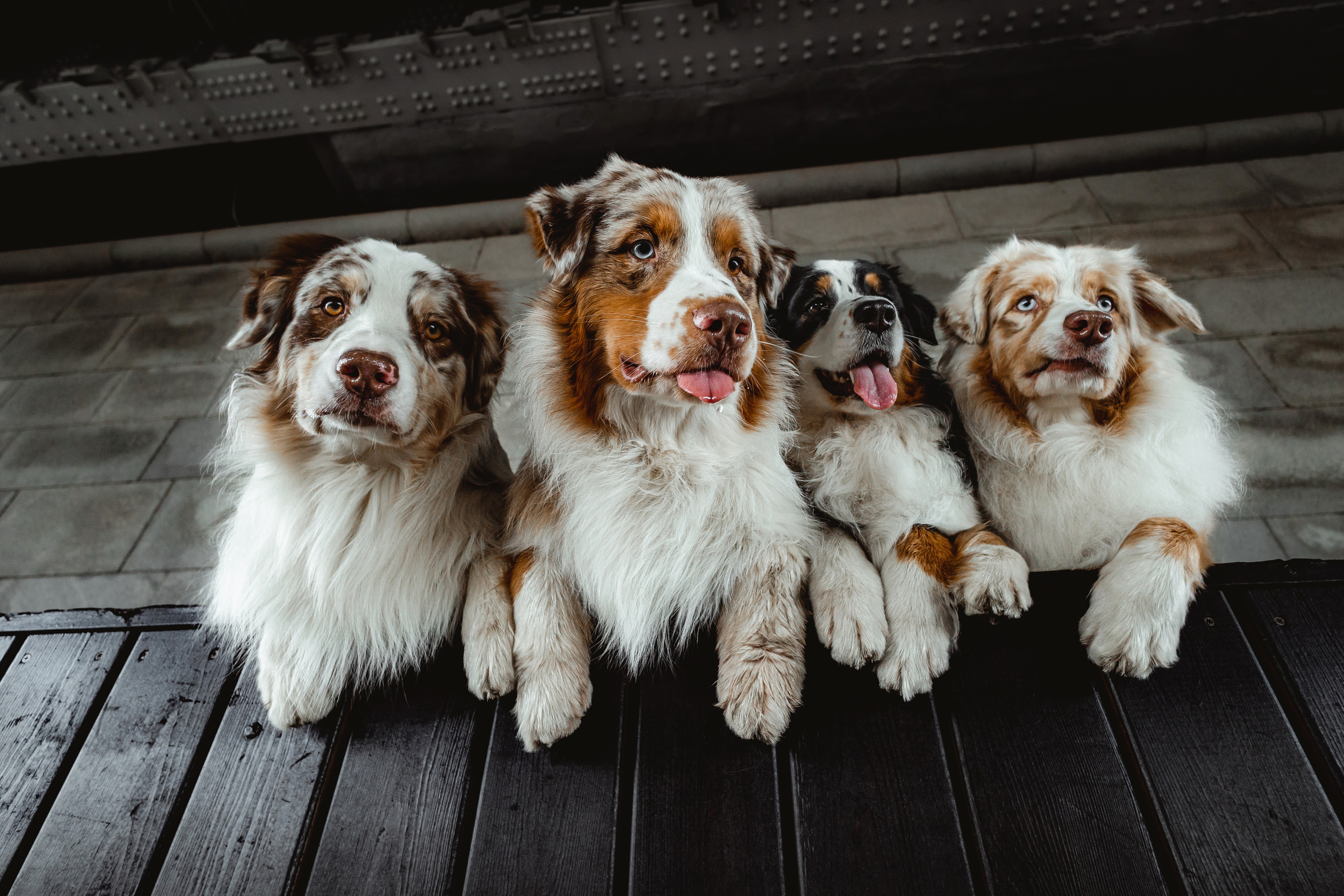 Маша и ее семья