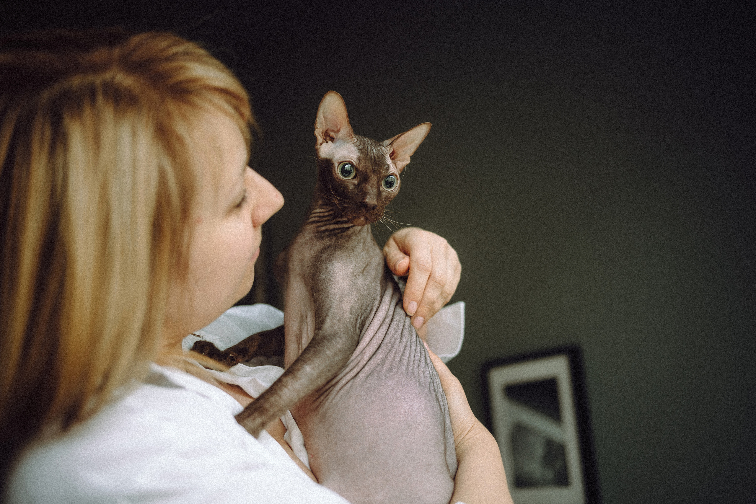 Марк, Челси, Маша и их семья