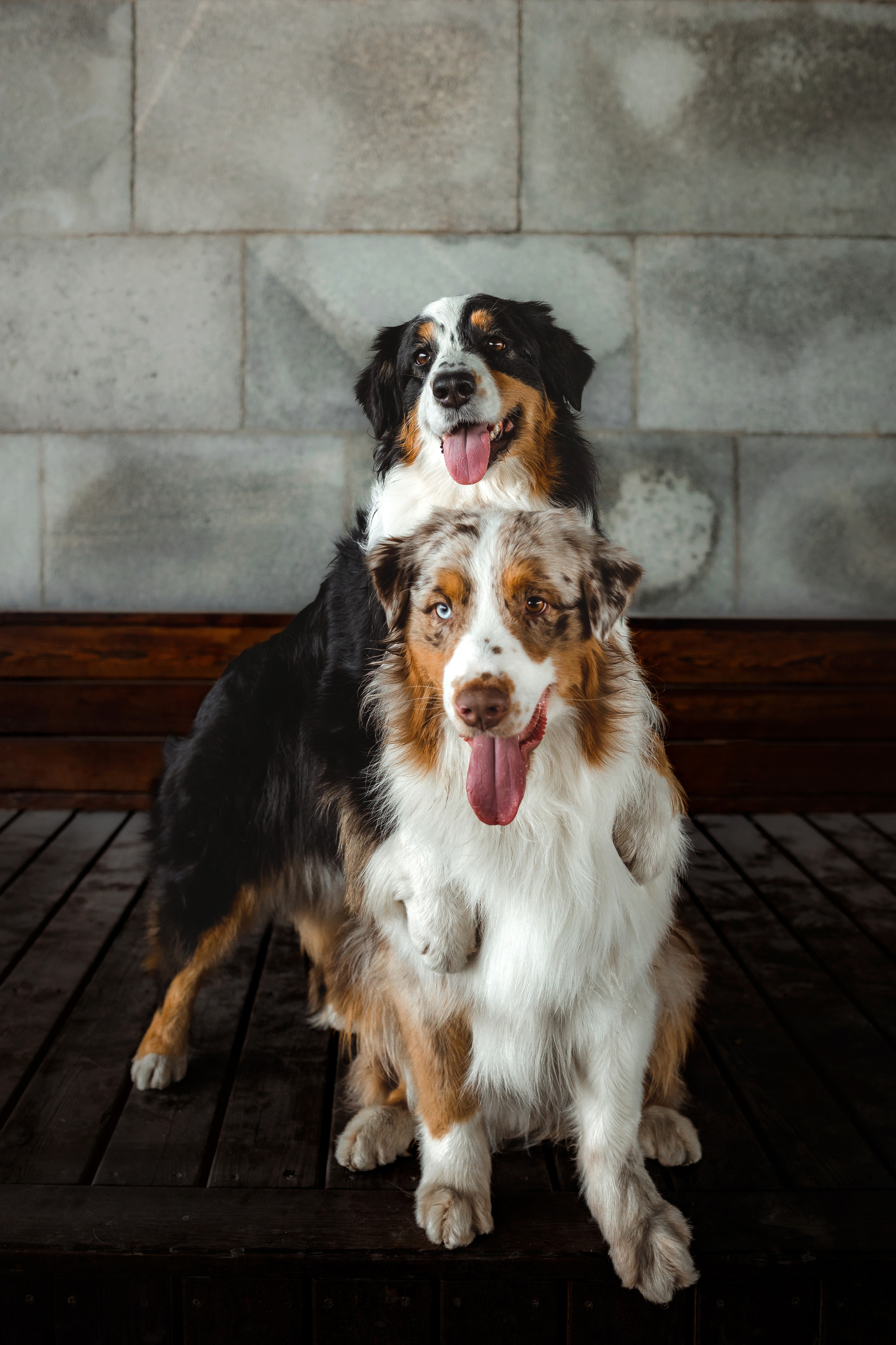 Маша и ее семья