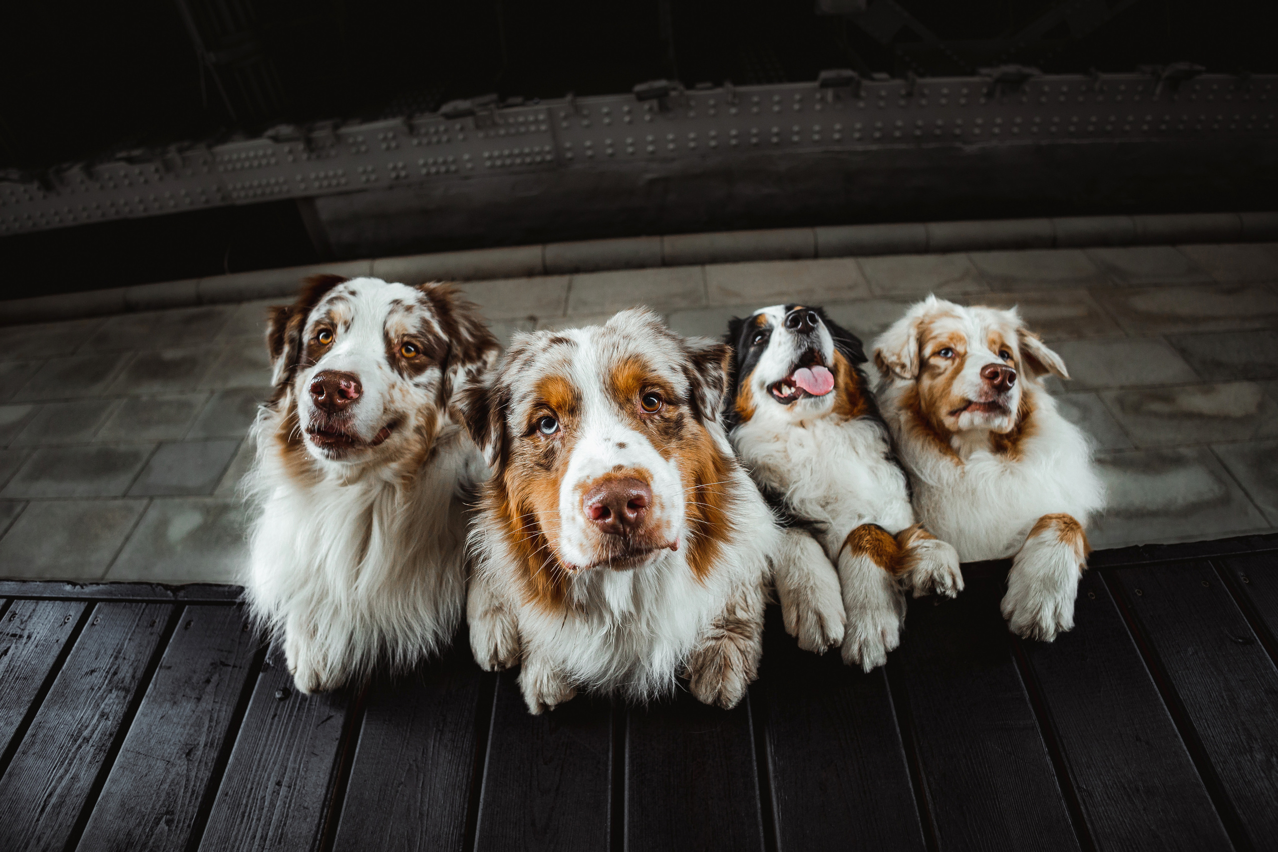 Маша и ее семья