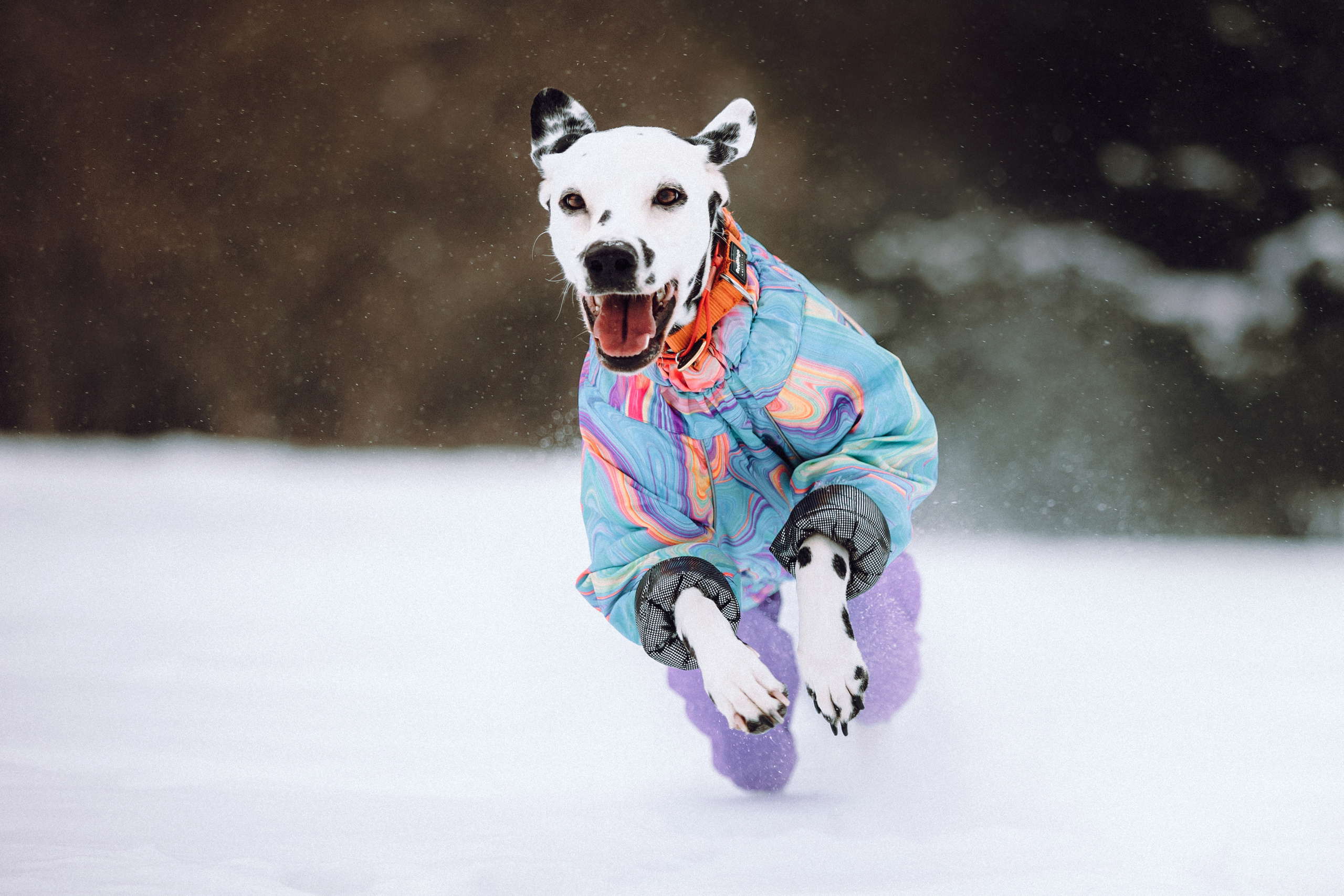 Кристина, Леша и Санта