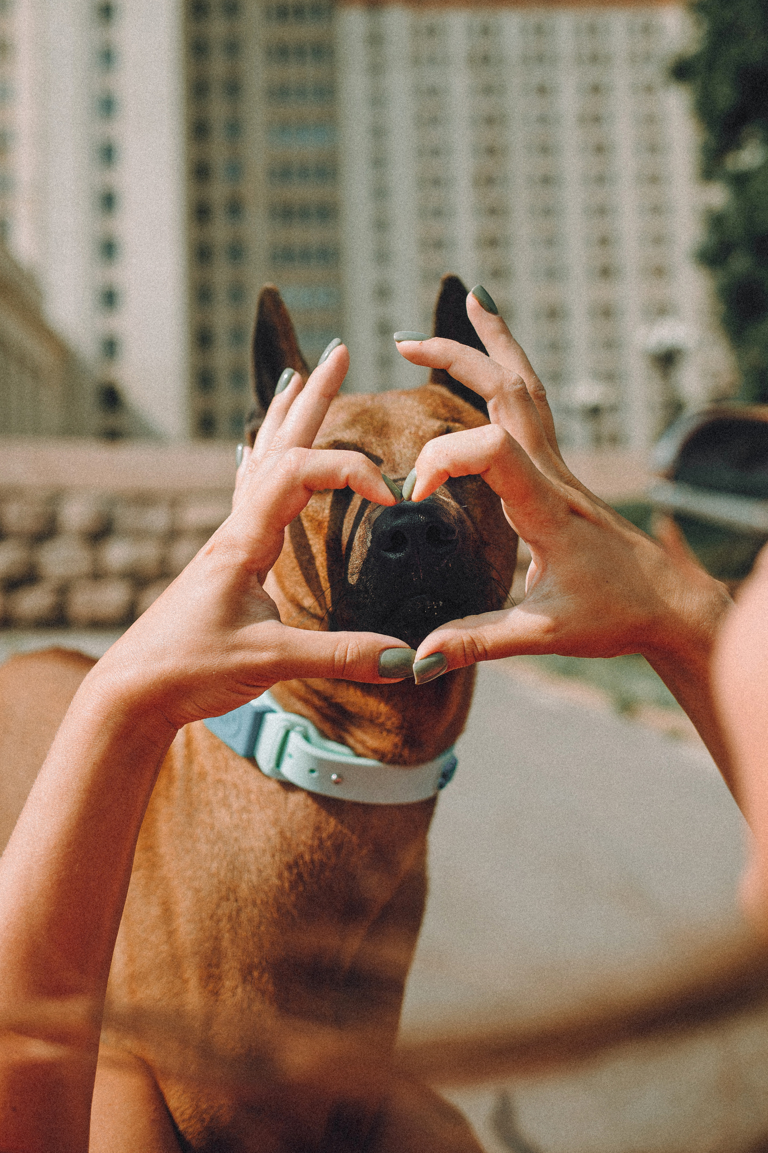 Оксана и Зевс